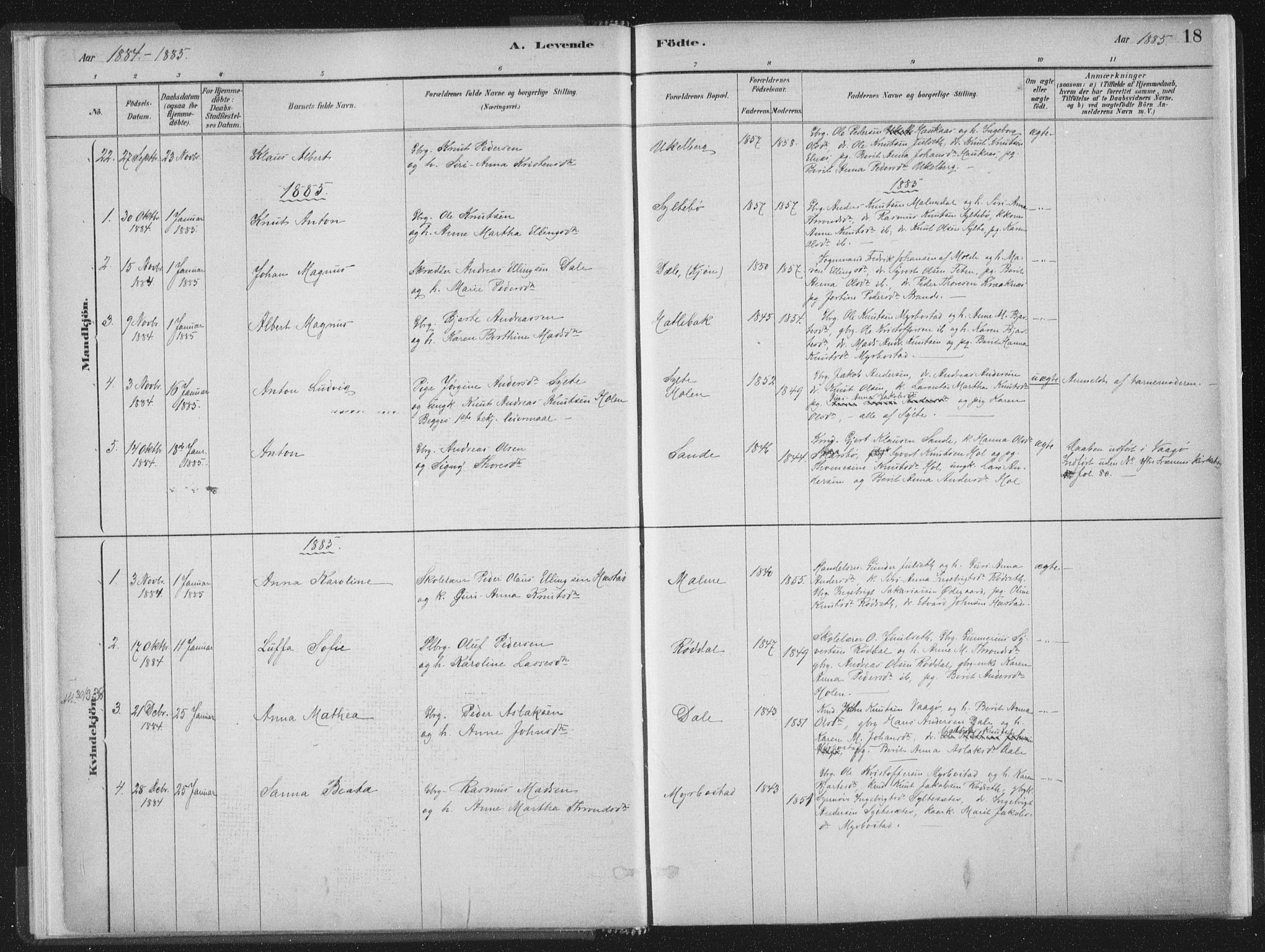 Ministerialprotokoller, klokkerbøker og fødselsregistre - Møre og Romsdal, SAT/A-1454/564/L0740: Parish register (official) no. 564A01, 1880-1899, p. 18