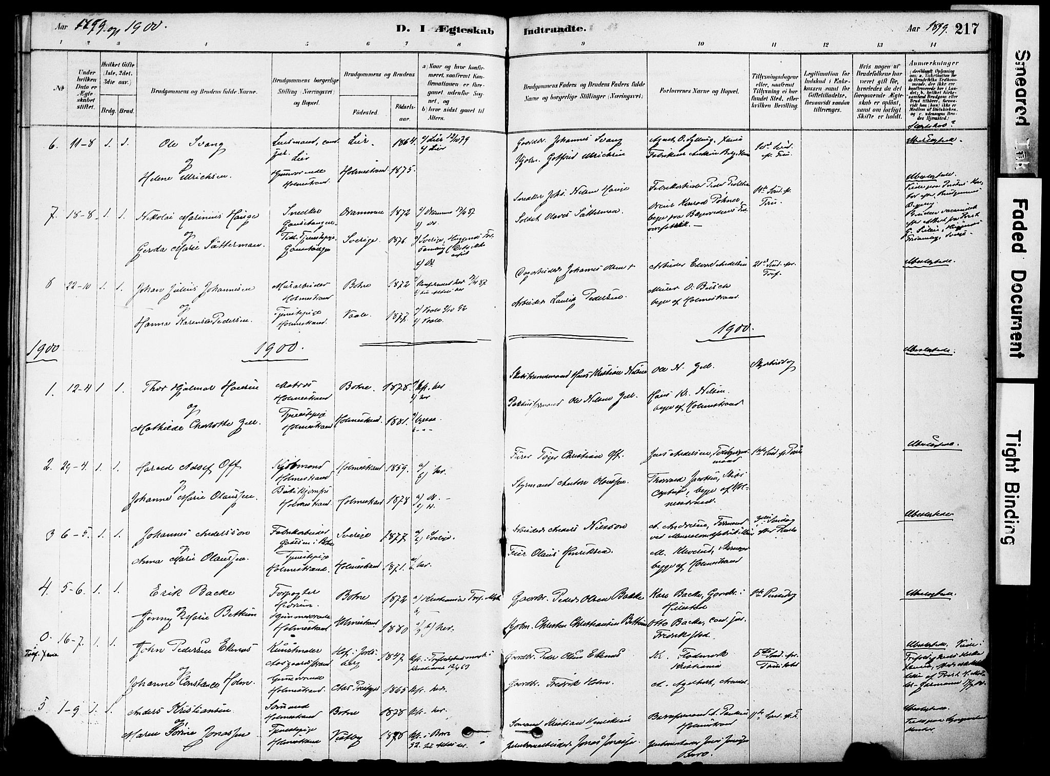 Holmestrand kirkebøker, AV/SAKO-A-346/F/Fa/L0004: Parish register (official) no. 4, 1880-1901, p. 217