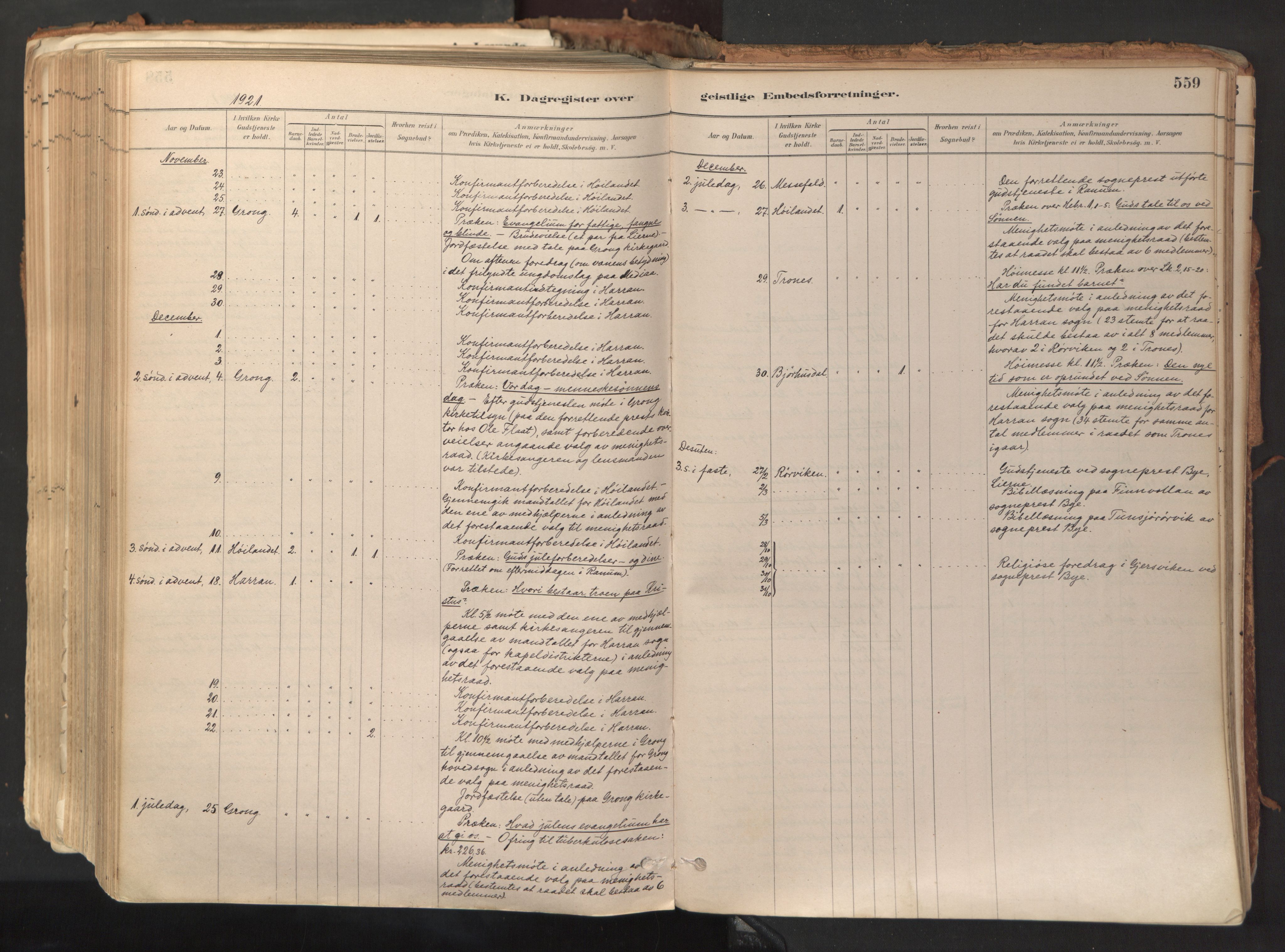 Ministerialprotokoller, klokkerbøker og fødselsregistre - Nord-Trøndelag, AV/SAT-A-1458/758/L0519: Parish register (official) no. 758A04, 1880-1926, p. 559