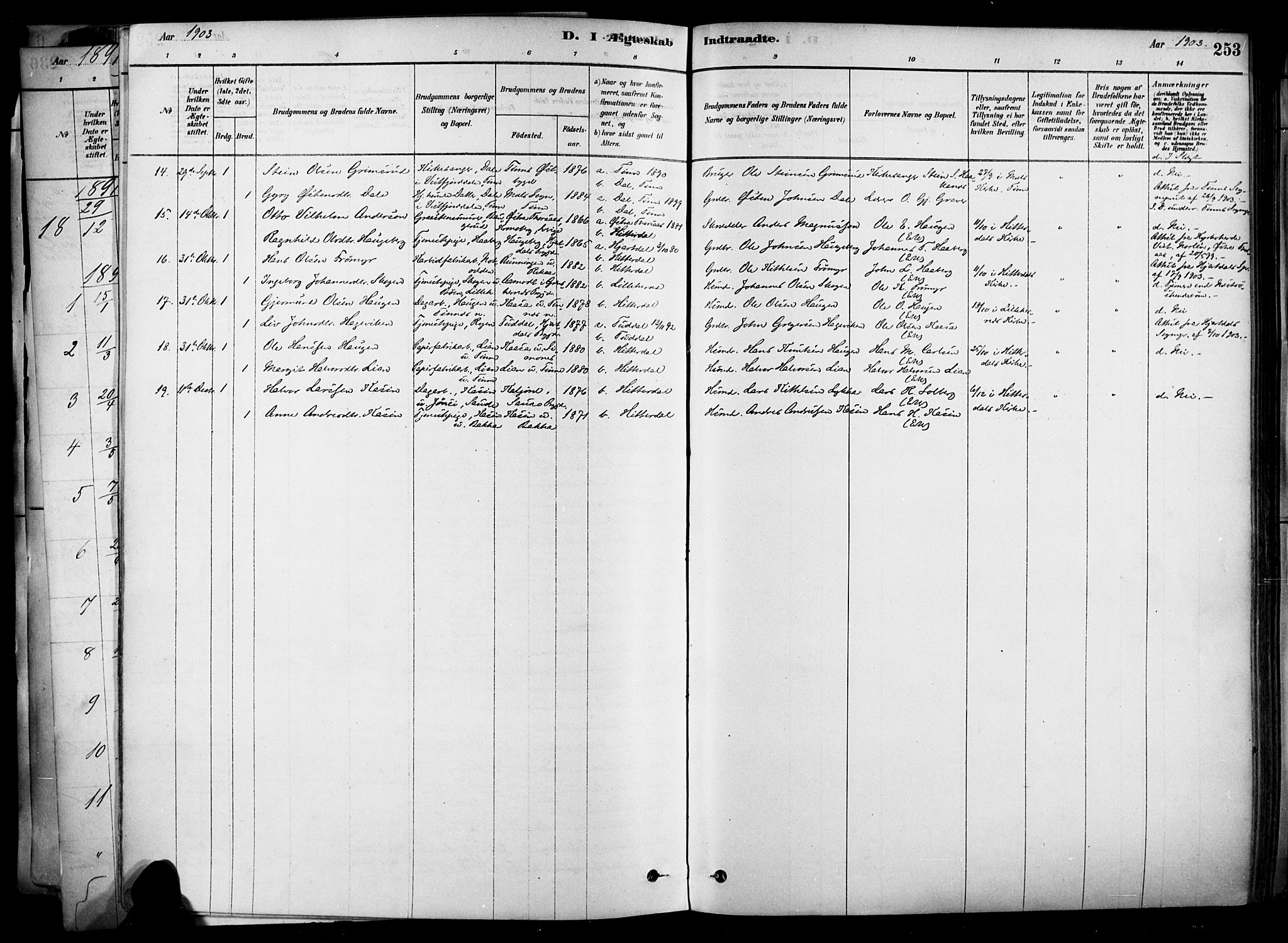 Heddal kirkebøker, SAKO/A-268/F/Fa/L0008: Parish register (official) no. I 8, 1878-1903, p. 253