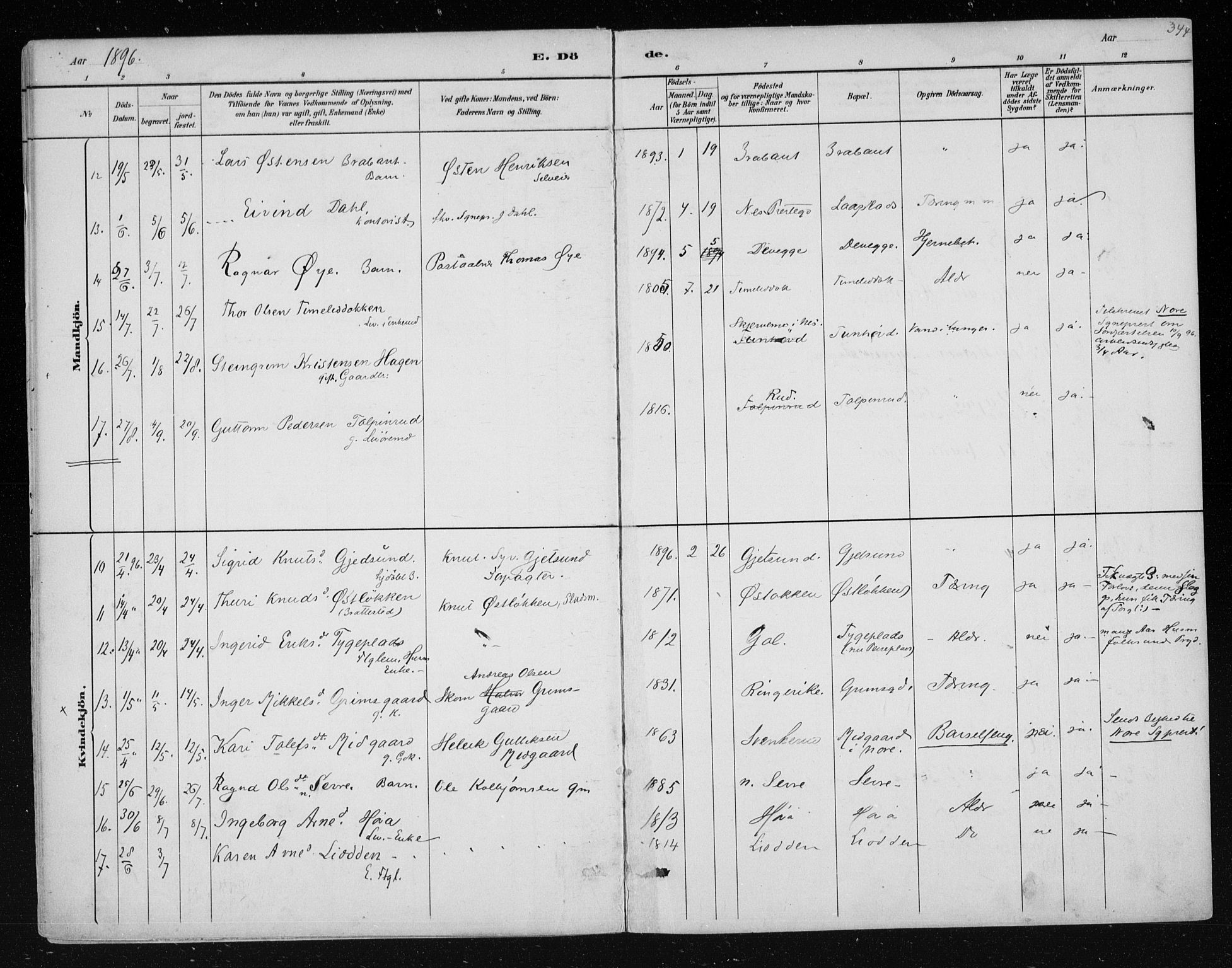 Nes kirkebøker, AV/SAKO-A-236/F/Fa/L0011: Parish register (official) no. 11, 1881-1912, p. 344