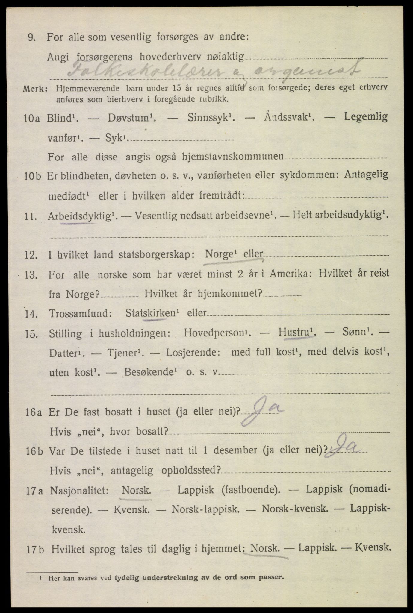 SAT, 1920 census for Bø, 1920, p. 8517