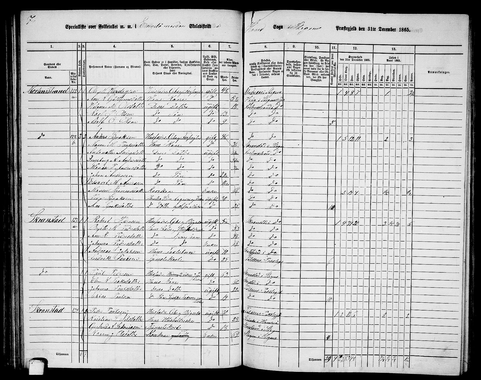 RA, 1865 census for Steigen, 1865, p. 65