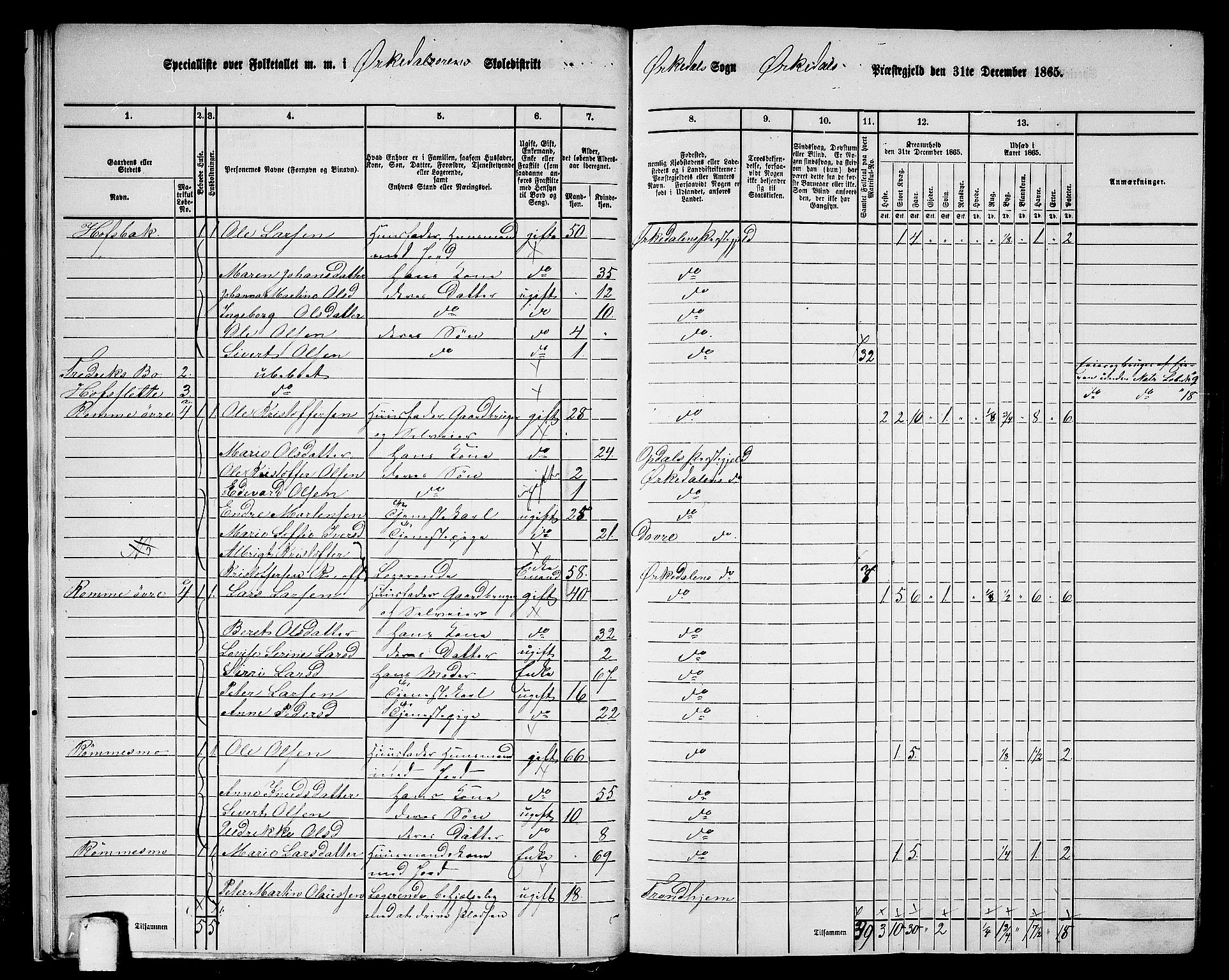 RA, 1865 census for Orkdal, 1865, p. 18