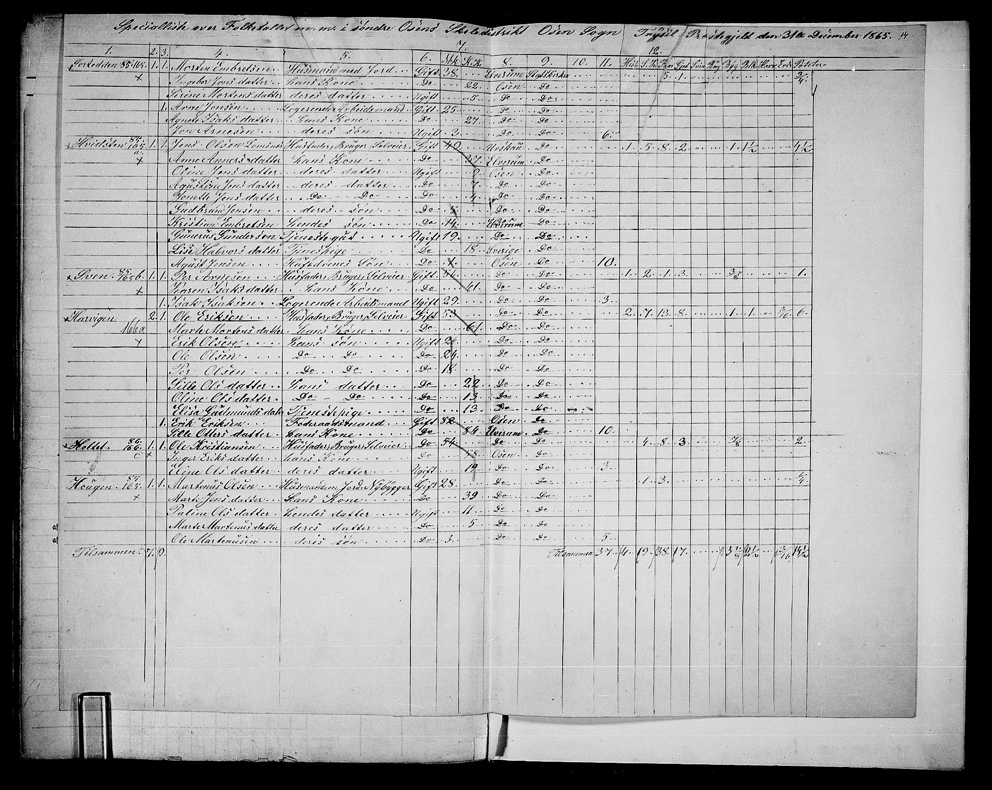 RA, 1865 census for Trysil, 1865, p. 178