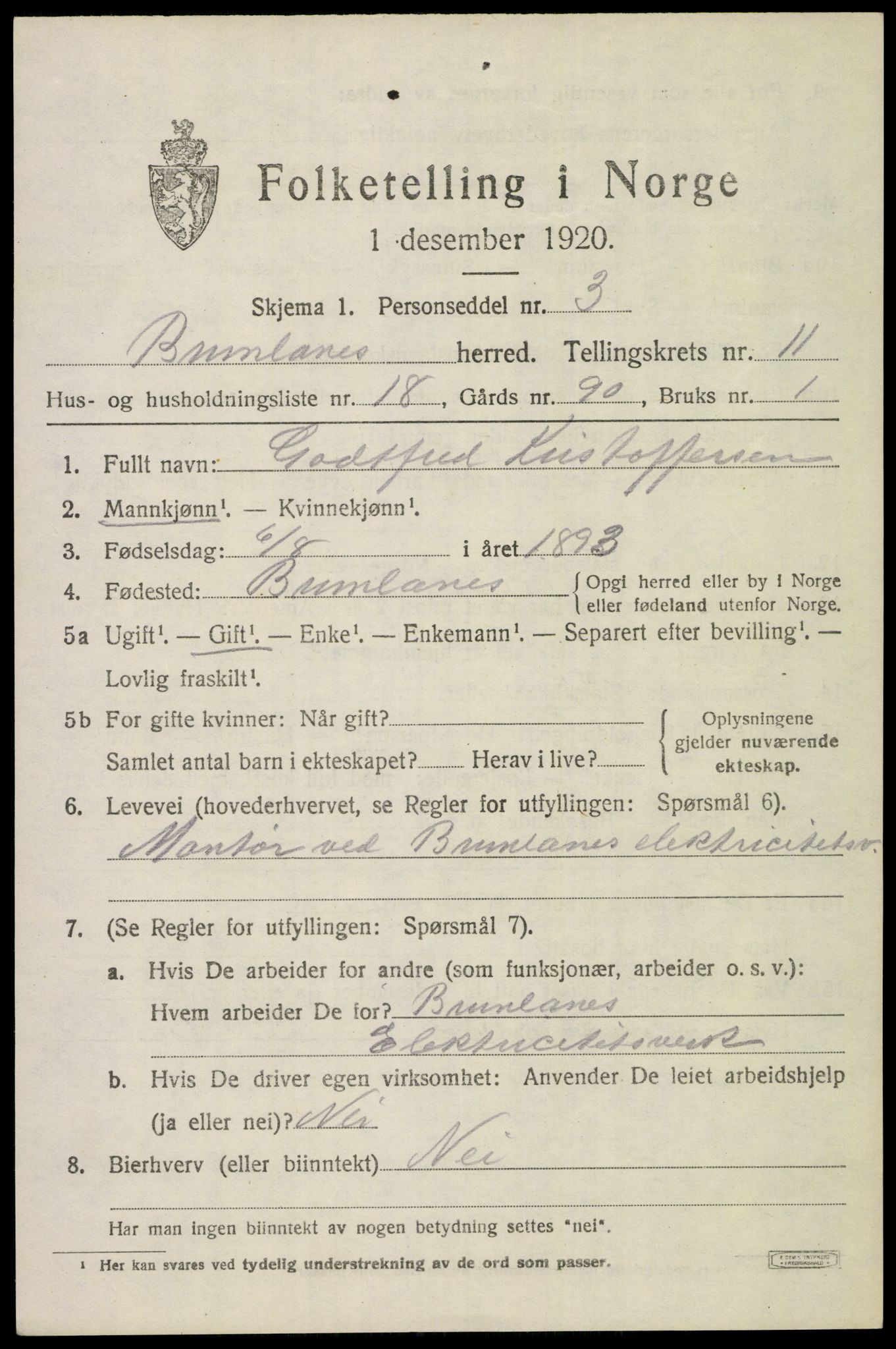 SAKO, 1920 census for Brunlanes, 1920, p. 9737