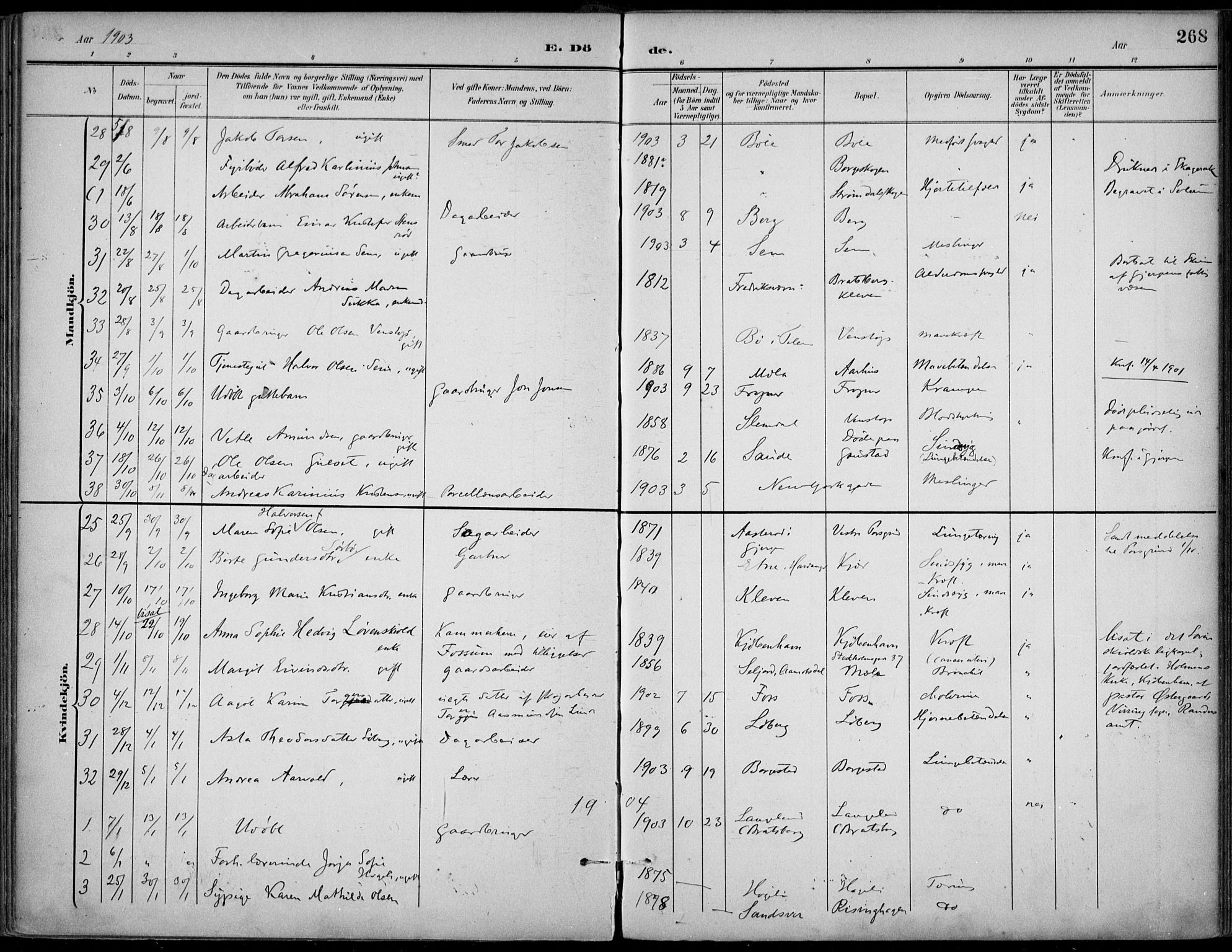 Gjerpen kirkebøker, SAKO/A-265/F/Fa/L0011: Parish register (official) no. I 11, 1896-1904, p. 268