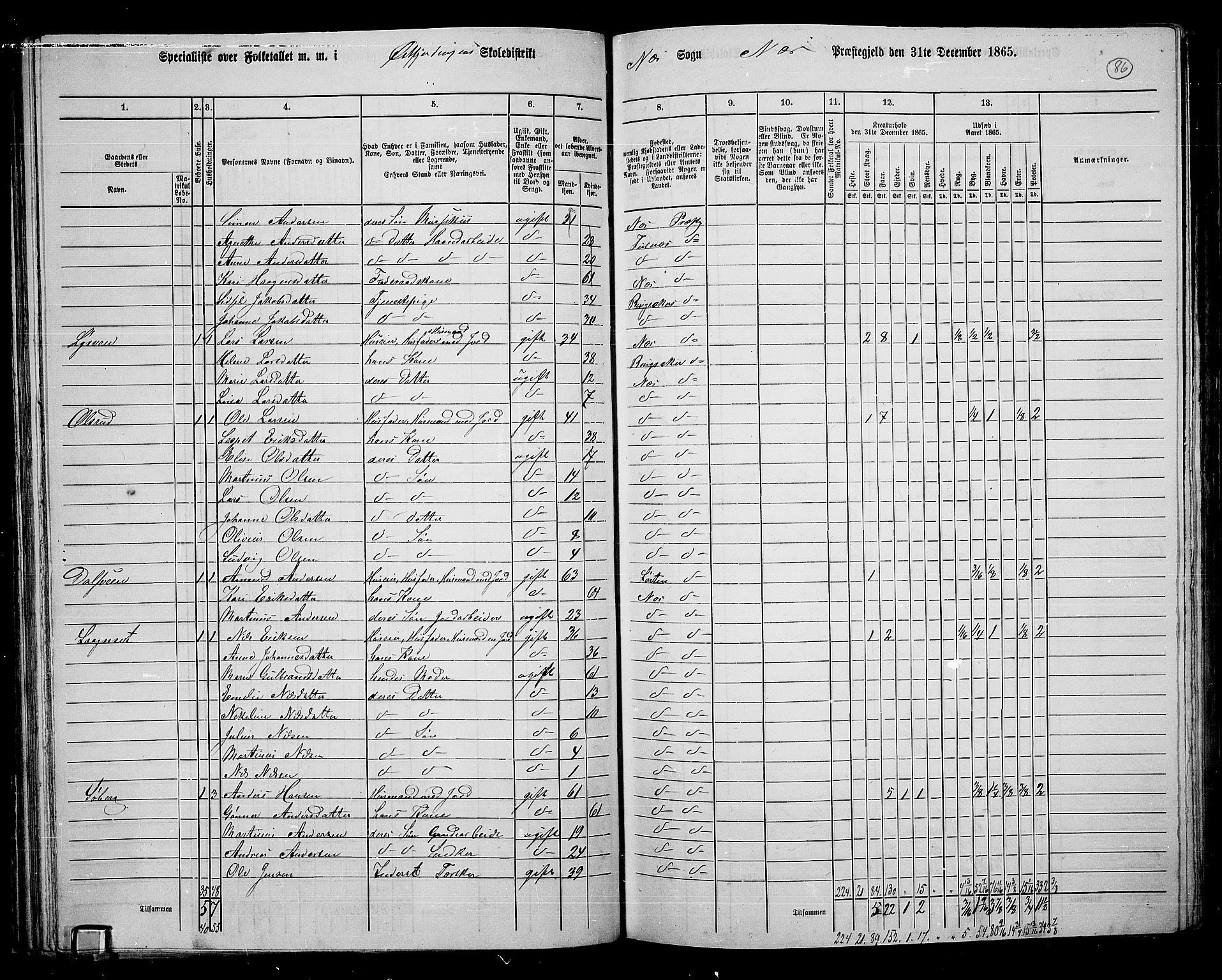 RA, 1865 census for Nes, 1865, p. 74