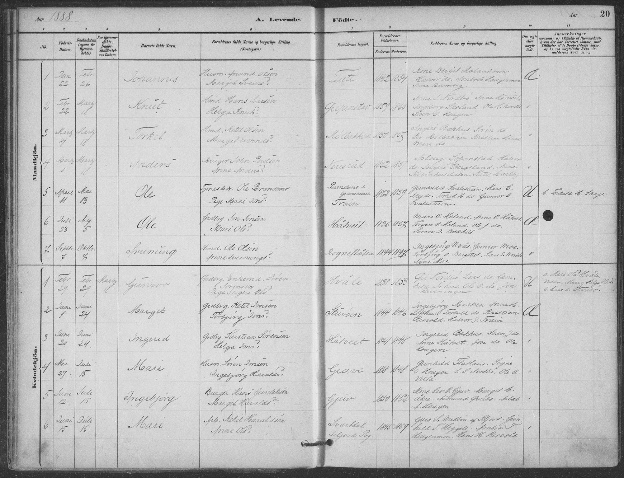 Hjartdal kirkebøker, SAKO/A-270/F/Fa/L0010: Parish register (official) no. I 10, 1880-1929, p. 20