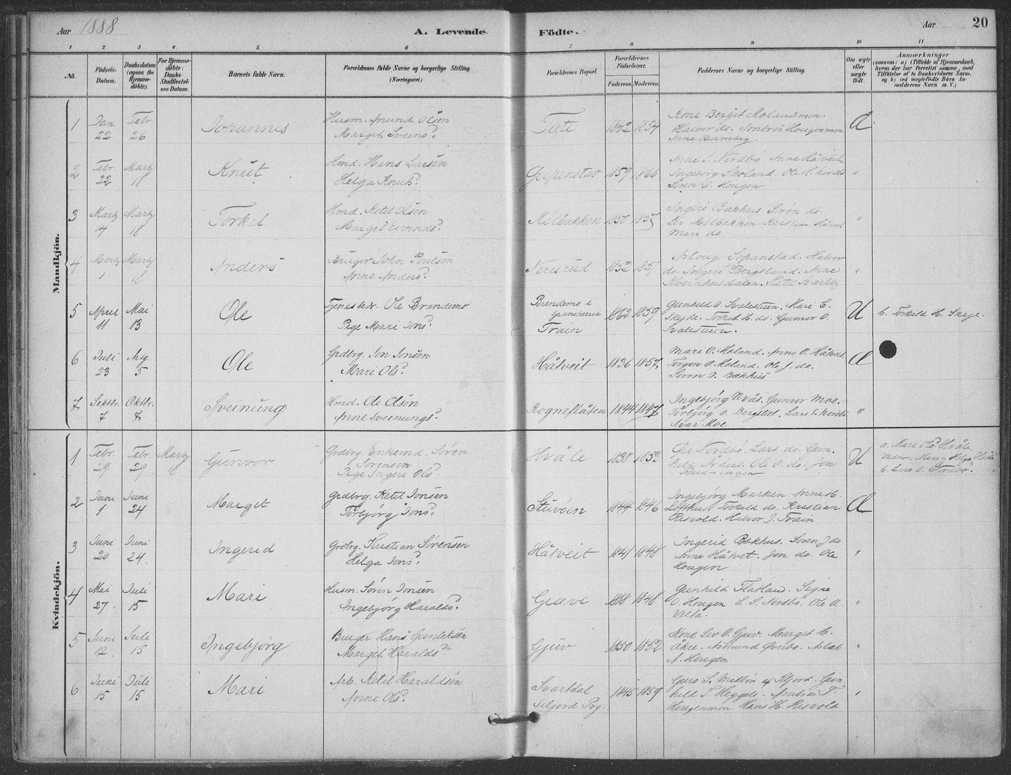 Hjartdal kirkebøker, AV/SAKO-A-270/F/Fa/L0010: Parish register (official) no. I 10, 1880-1929, p. 20