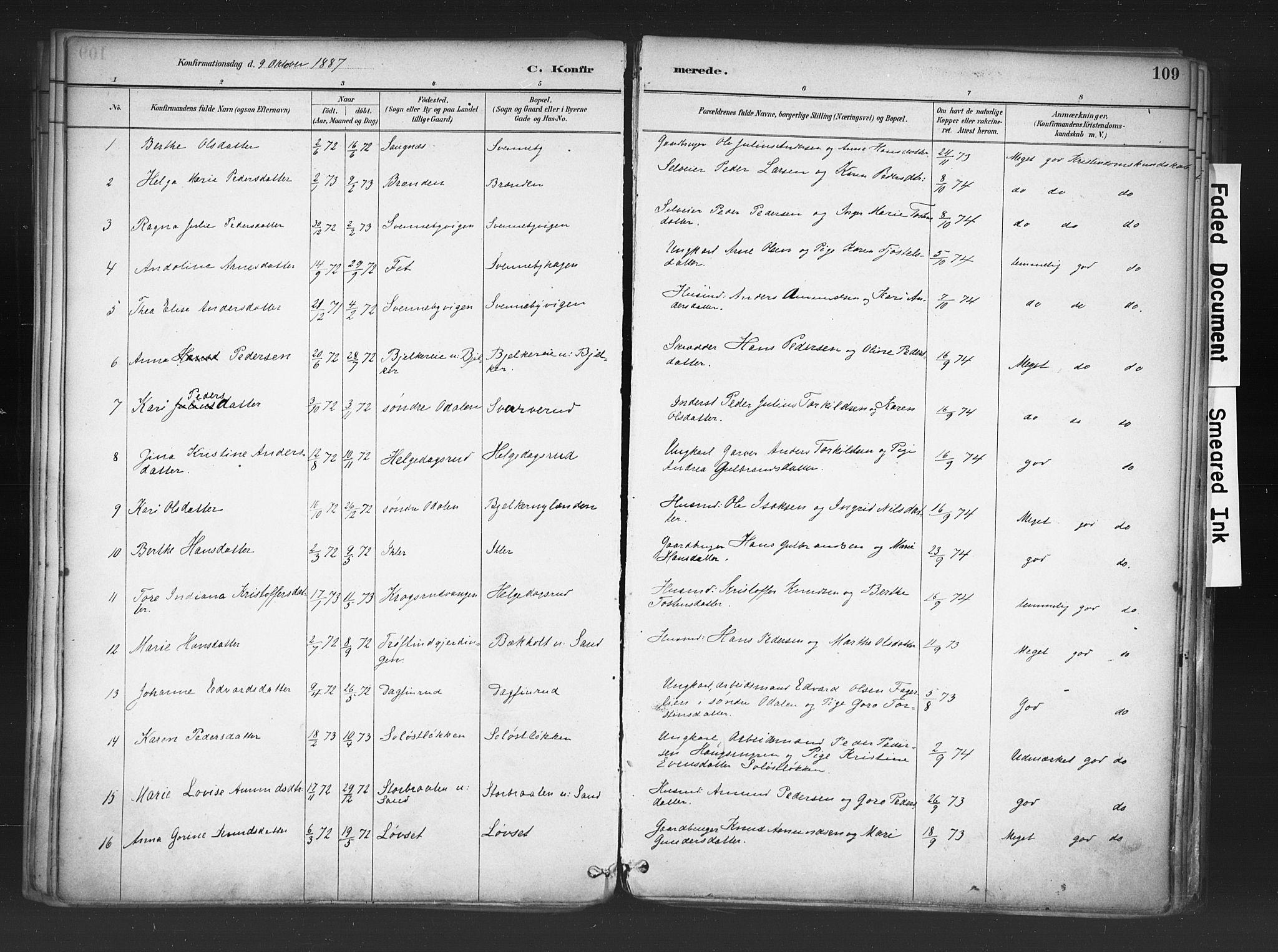 Nord-Odal prestekontor, AV/SAH-PREST-032/H/Ha/Haa/L0006: Parish register (official) no. 6, 1886-1901, p. 109