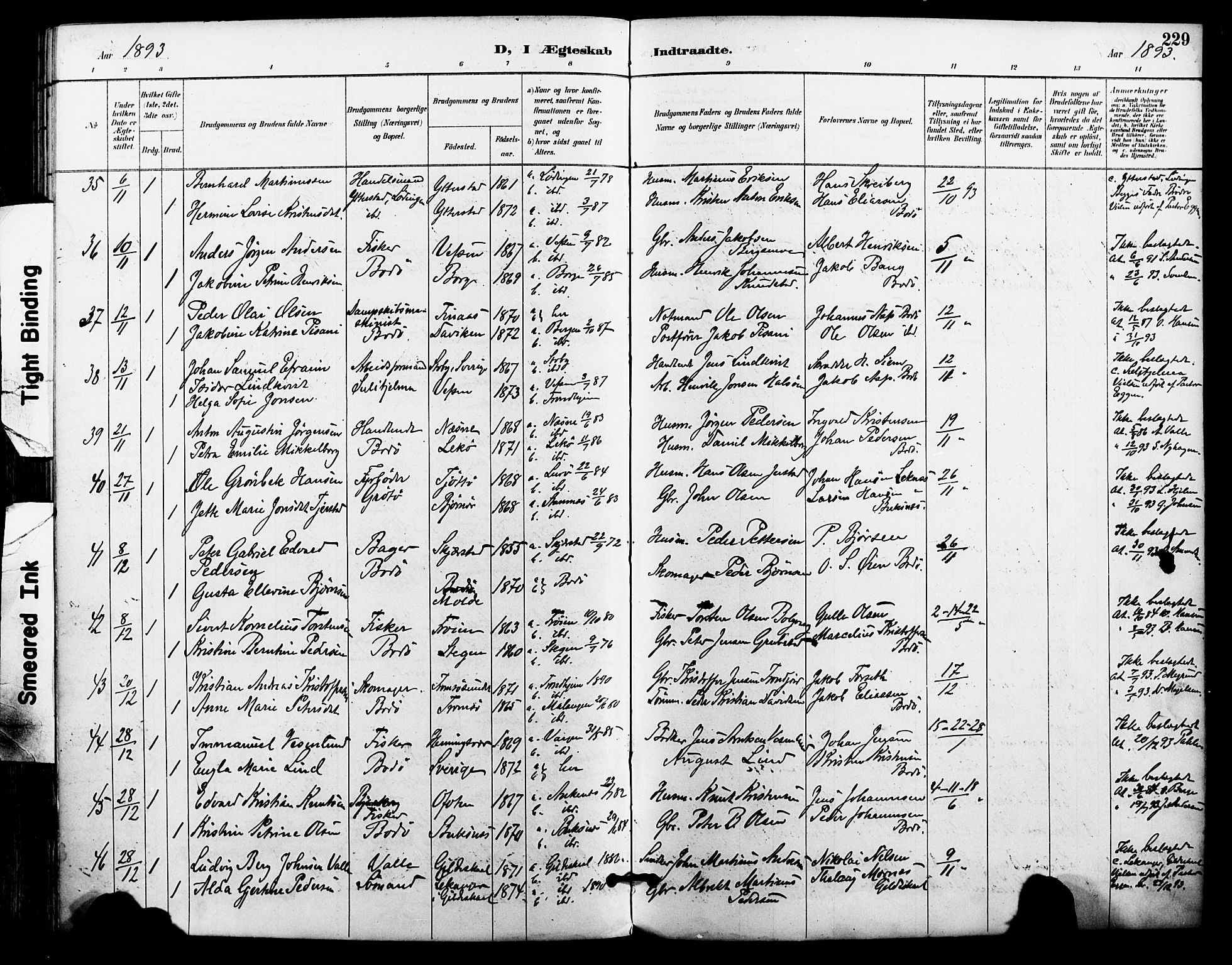 Ministerialprotokoller, klokkerbøker og fødselsregistre - Nordland, AV/SAT-A-1459/801/L0010: Parish register (official) no. 801A10, 1888-1899, p. 229