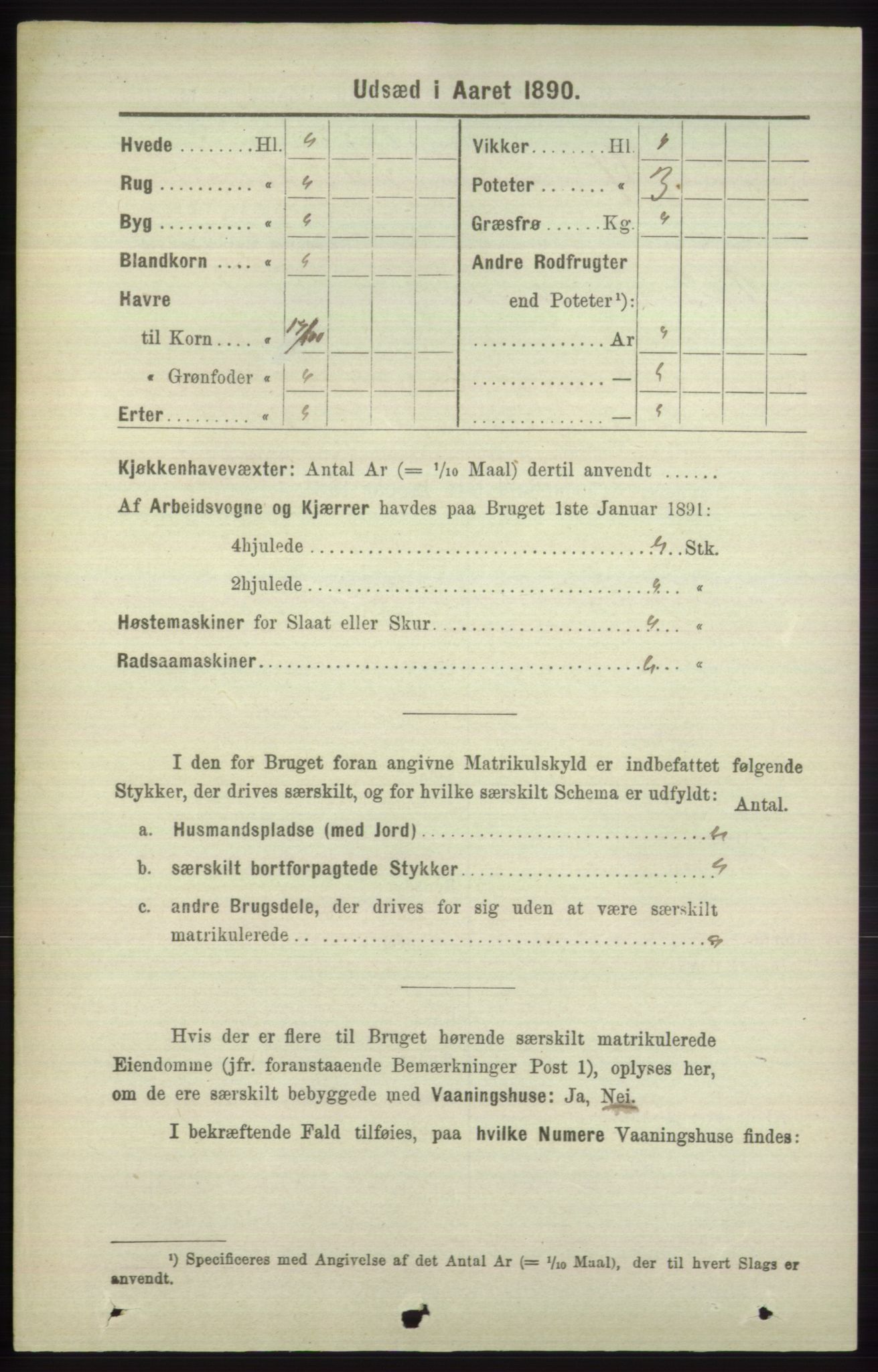 RA, 1891 census for 1251 Bruvik, 1891, p. 4625