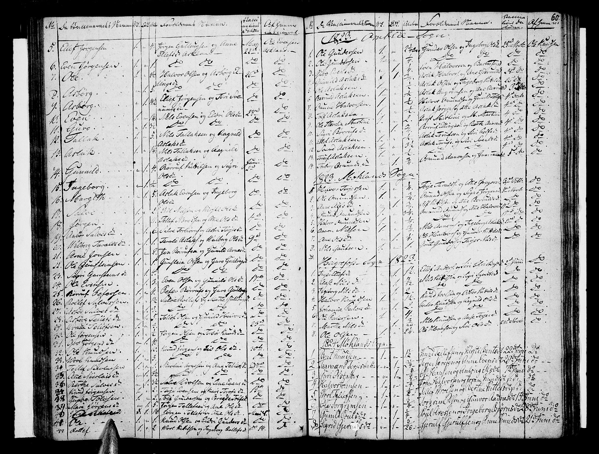 Åmli sokneprestkontor, AV/SAK-1111-0050/F/Fa/Fac/L0005: Parish register (official) no. A 5, 1796-1816, p. 60