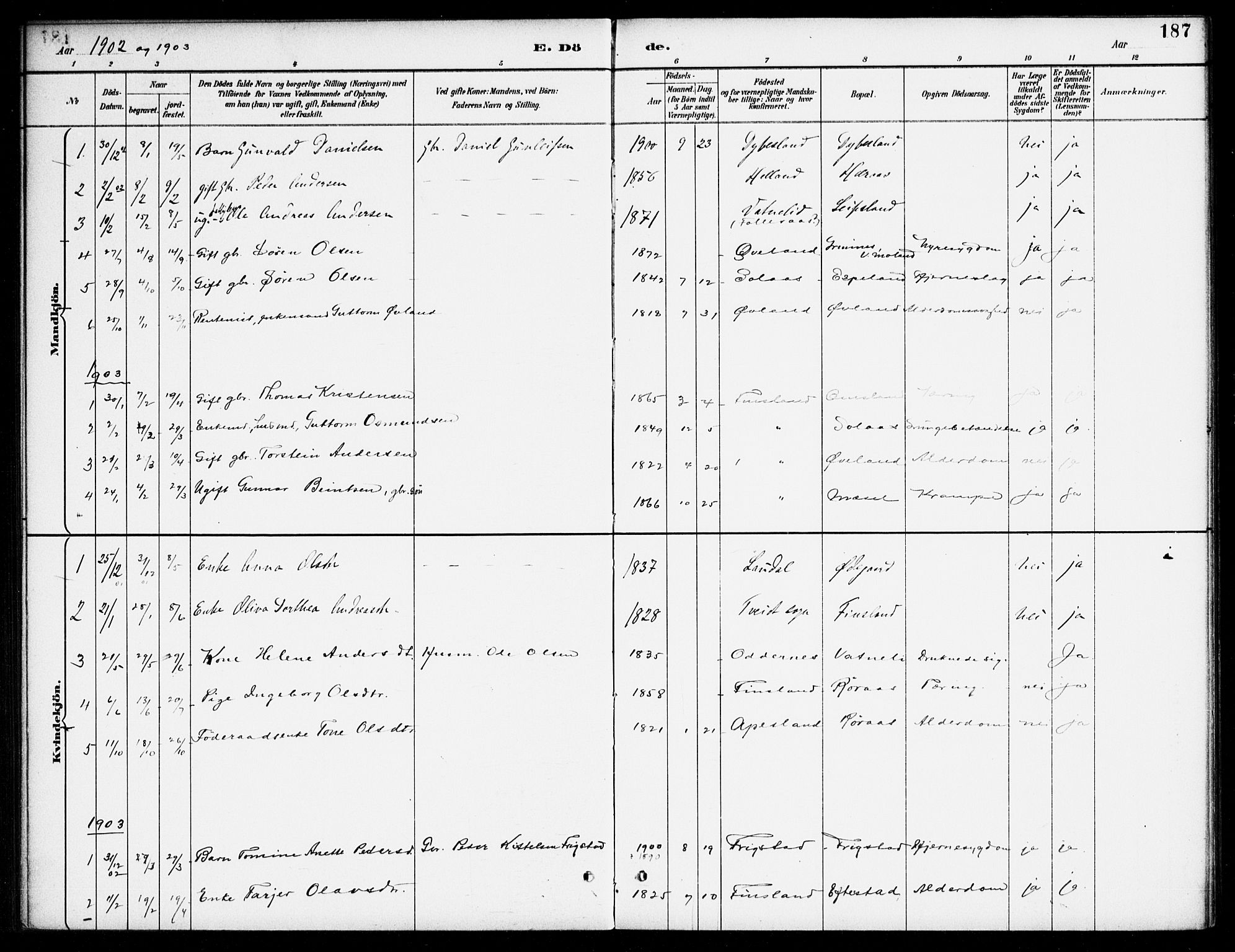 Bjelland sokneprestkontor, AV/SAK-1111-0005/F/Fa/Fab/L0004: Parish register (official) no. A 4, 1887-1920, p. 187