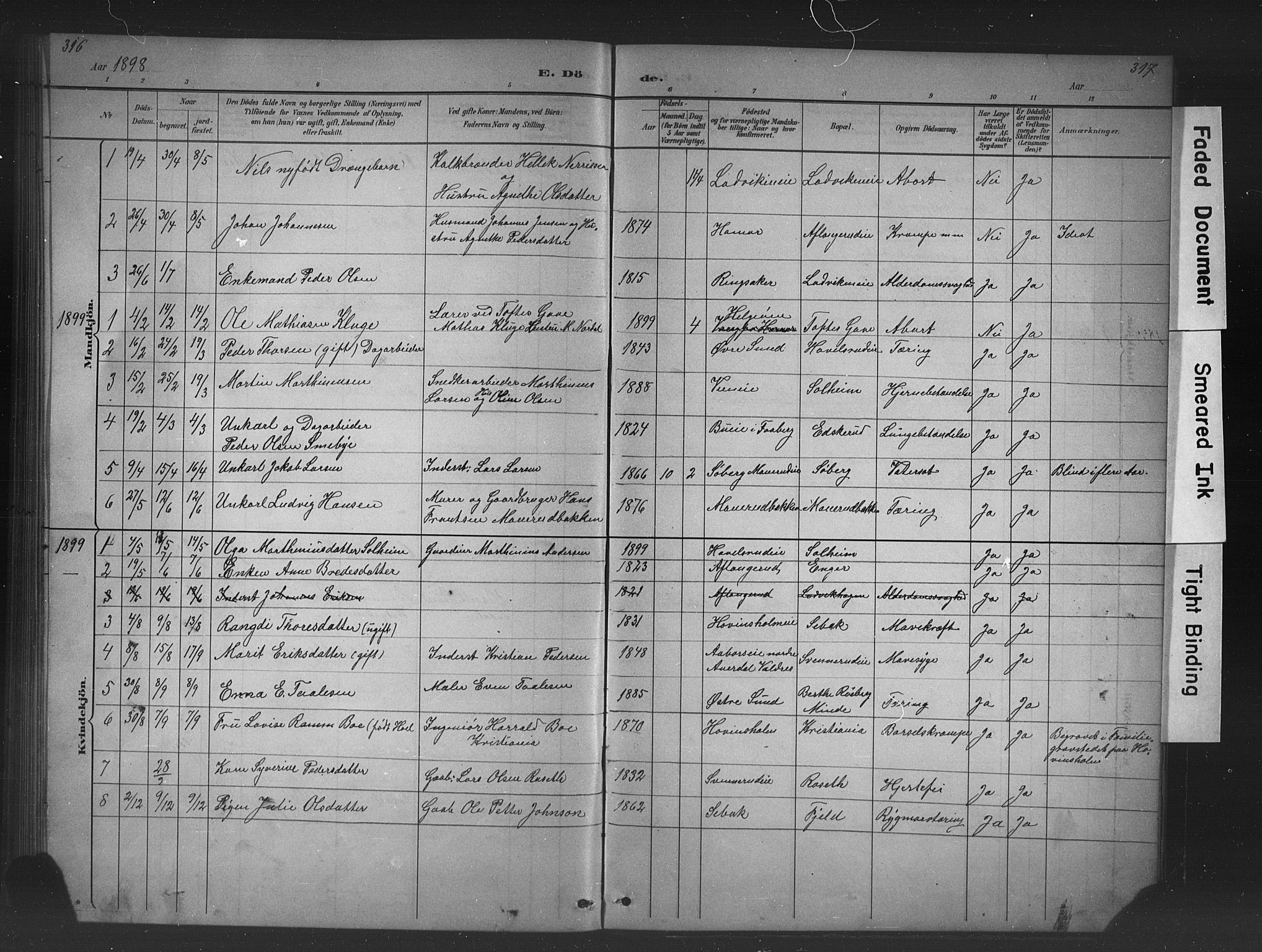 Nes prestekontor, Hedmark, SAH/PREST-020/L/La/L0016: Parish register (copy) no. 16, 1883-1900, p. 316-317