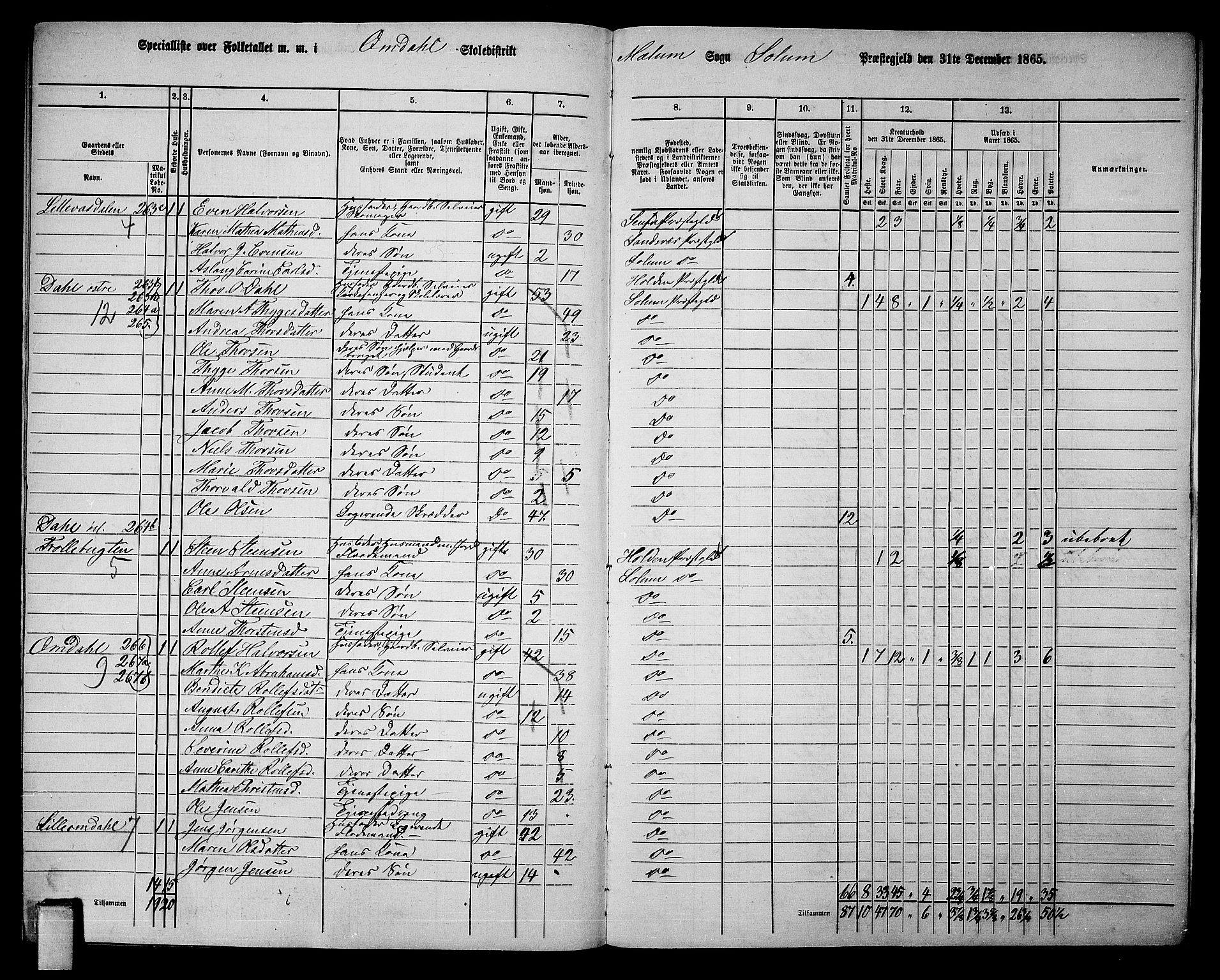 RA, 1865 census for Solum, 1865, p. 207