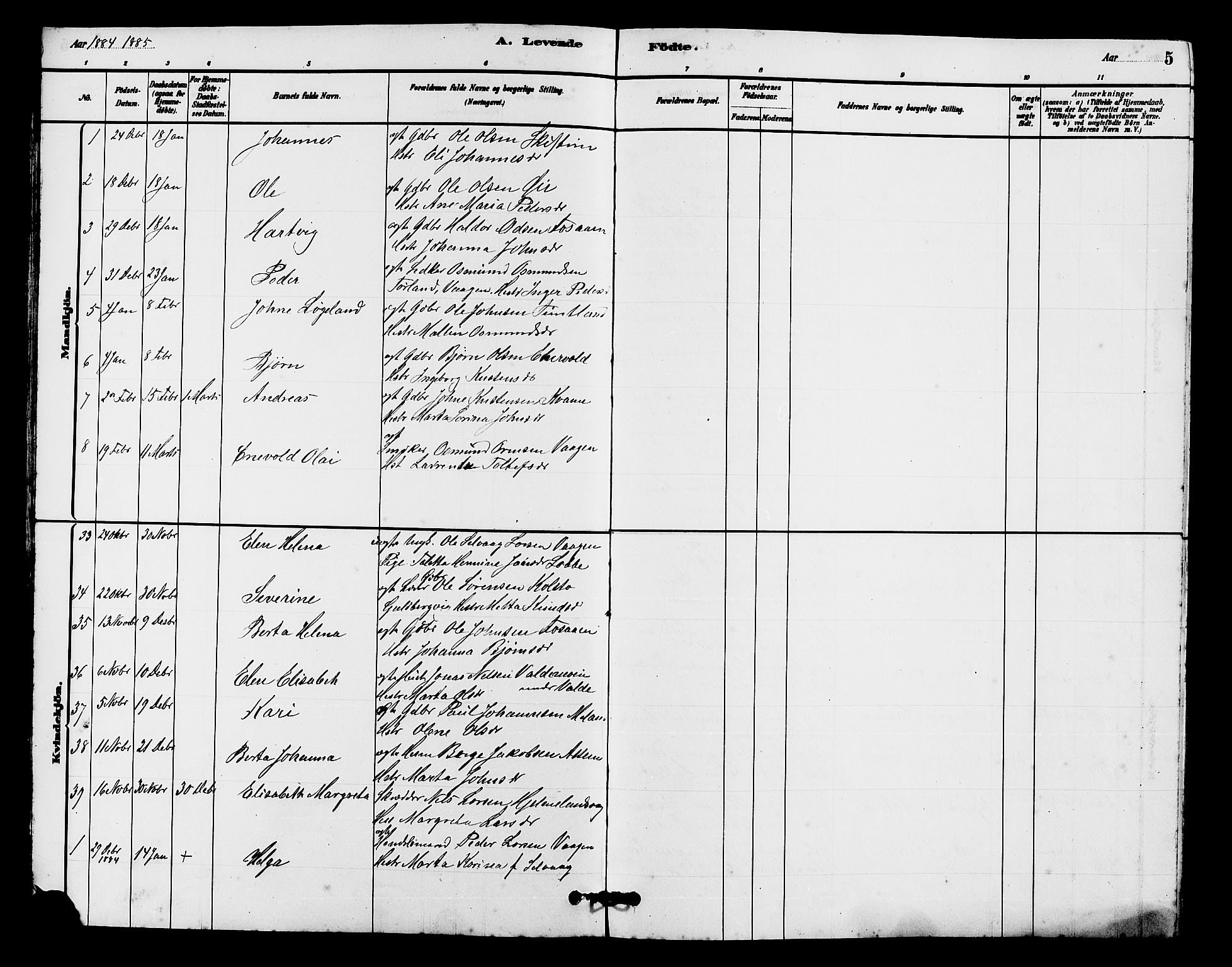 Hjelmeland sokneprestkontor, SAST/A-101843/01/V/L0007: Parish register (copy) no. B 7, 1880-1909, p. 5