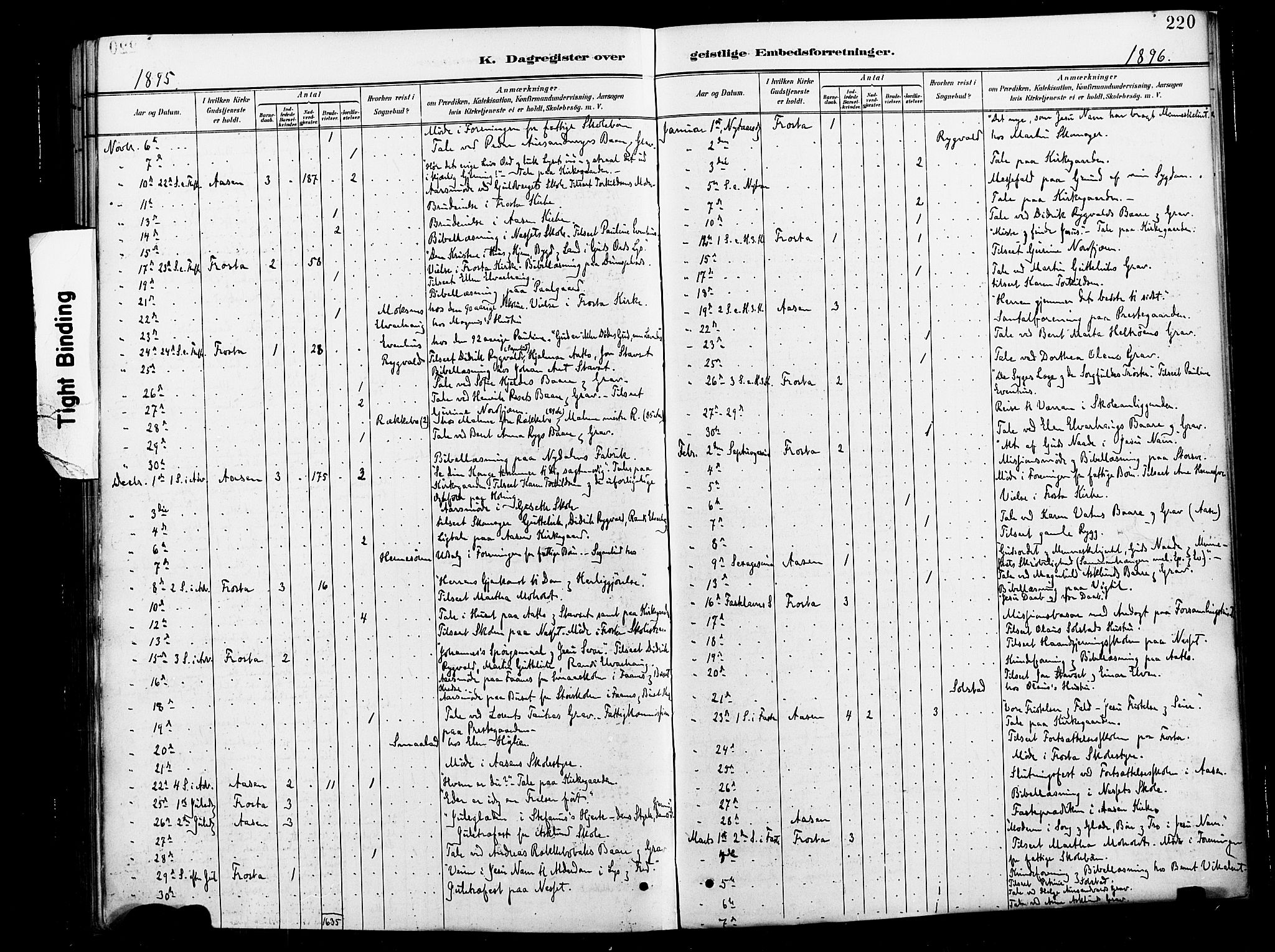 Ministerialprotokoller, klokkerbøker og fødselsregistre - Nord-Trøndelag, AV/SAT-A-1458/713/L0121: Parish register (official) no. 713A10, 1888-1898, p. 220