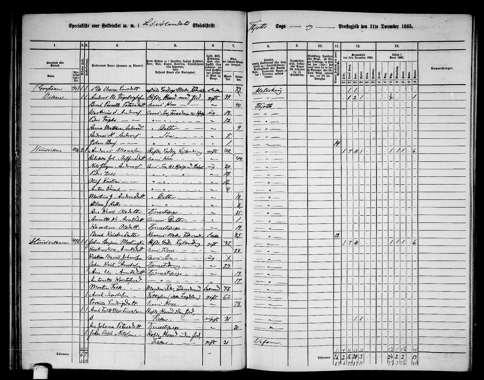 RA, 1865 census for Tjøtta, 1865, p. 33