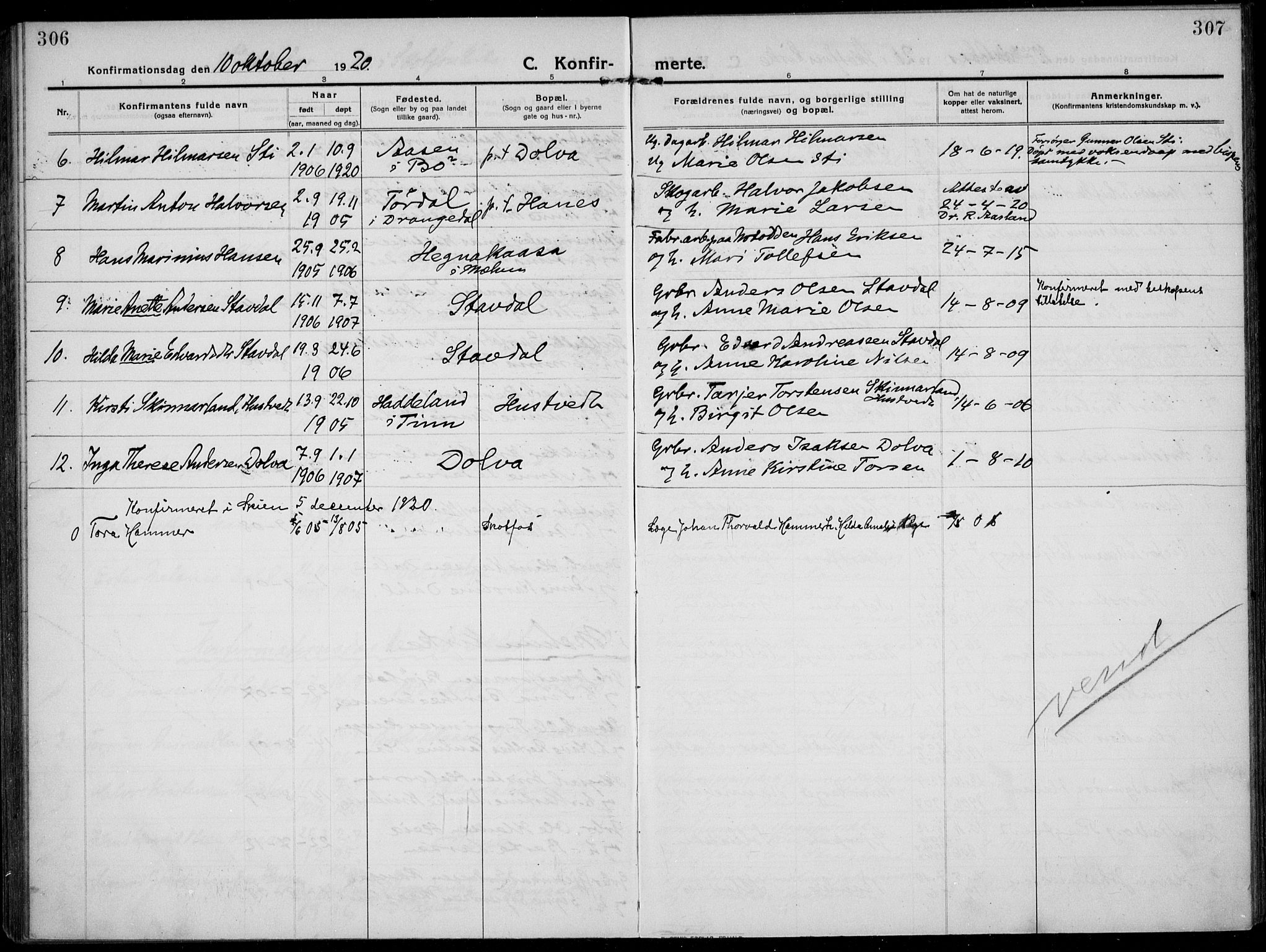Solum kirkebøker, SAKO/A-306/F/Fb/L0004: Parish register (official) no. II 4, 1913-1924, p. 306-307