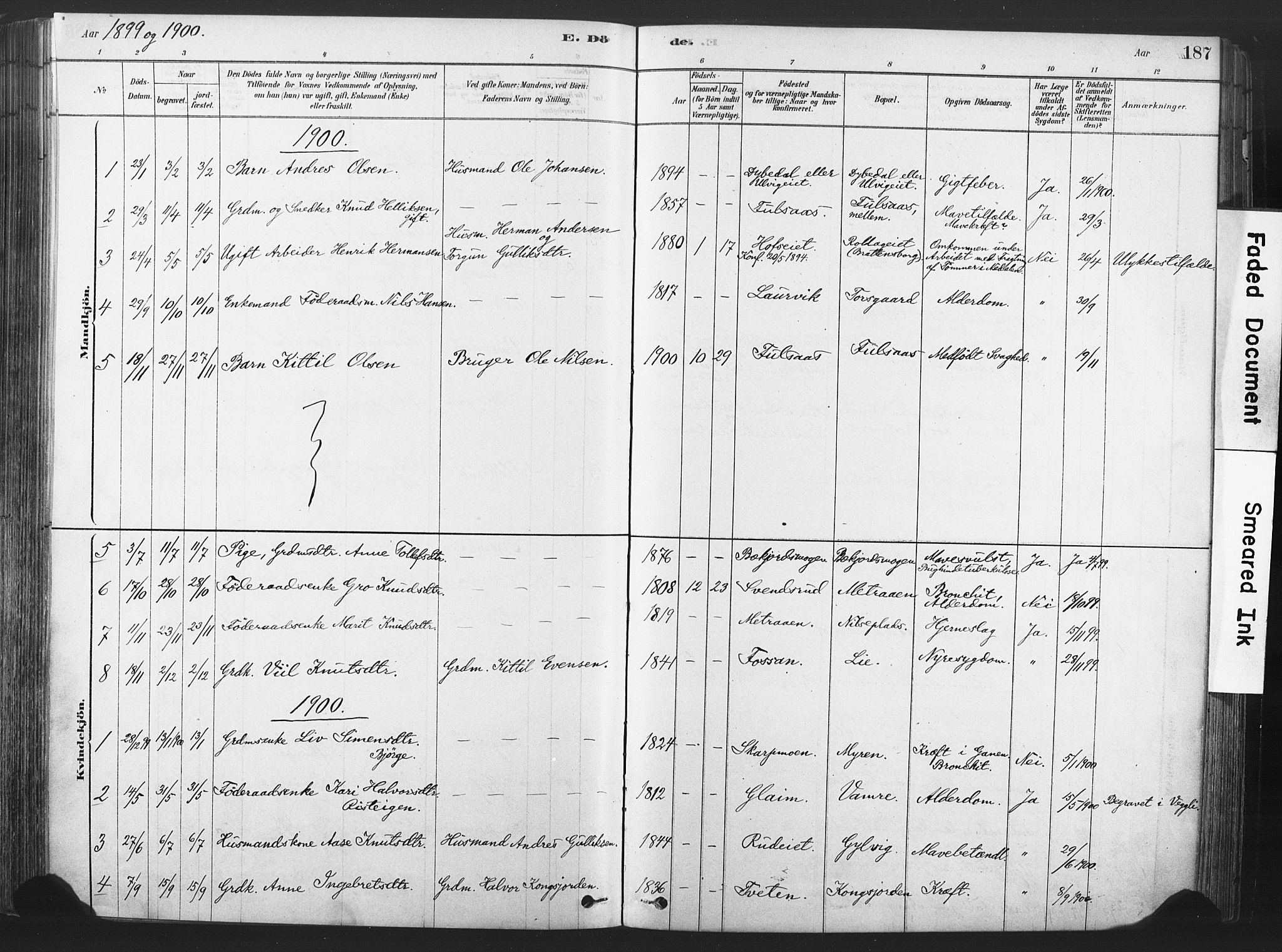 Rollag kirkebøker, SAKO/A-240/F/Fa/L0011: Parish register (official) no. I 11, 1878-1902, p. 187