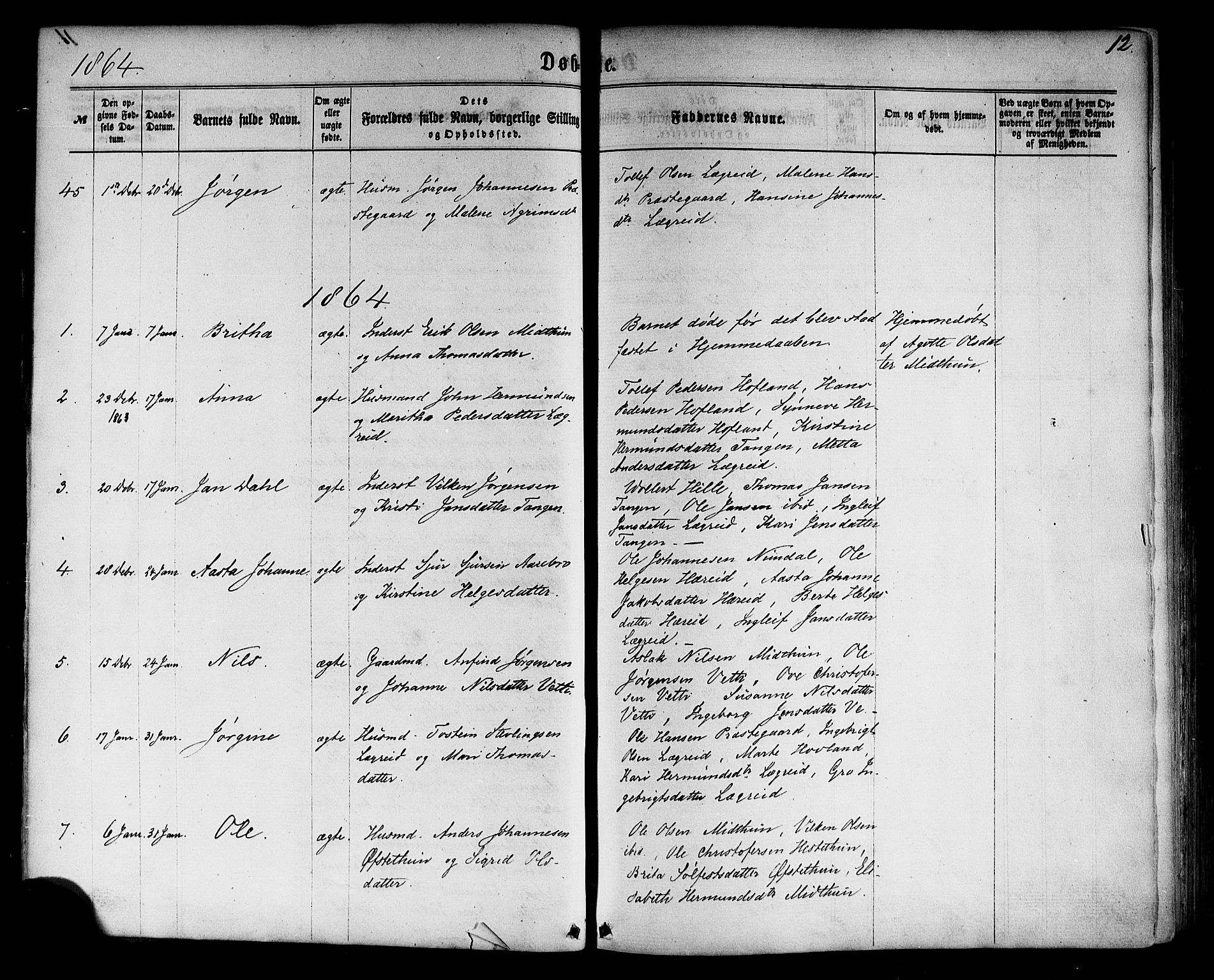 Årdal sokneprestembete, SAB/A-81701: Parish register (official) no. A 3, 1863-1886, p. 12