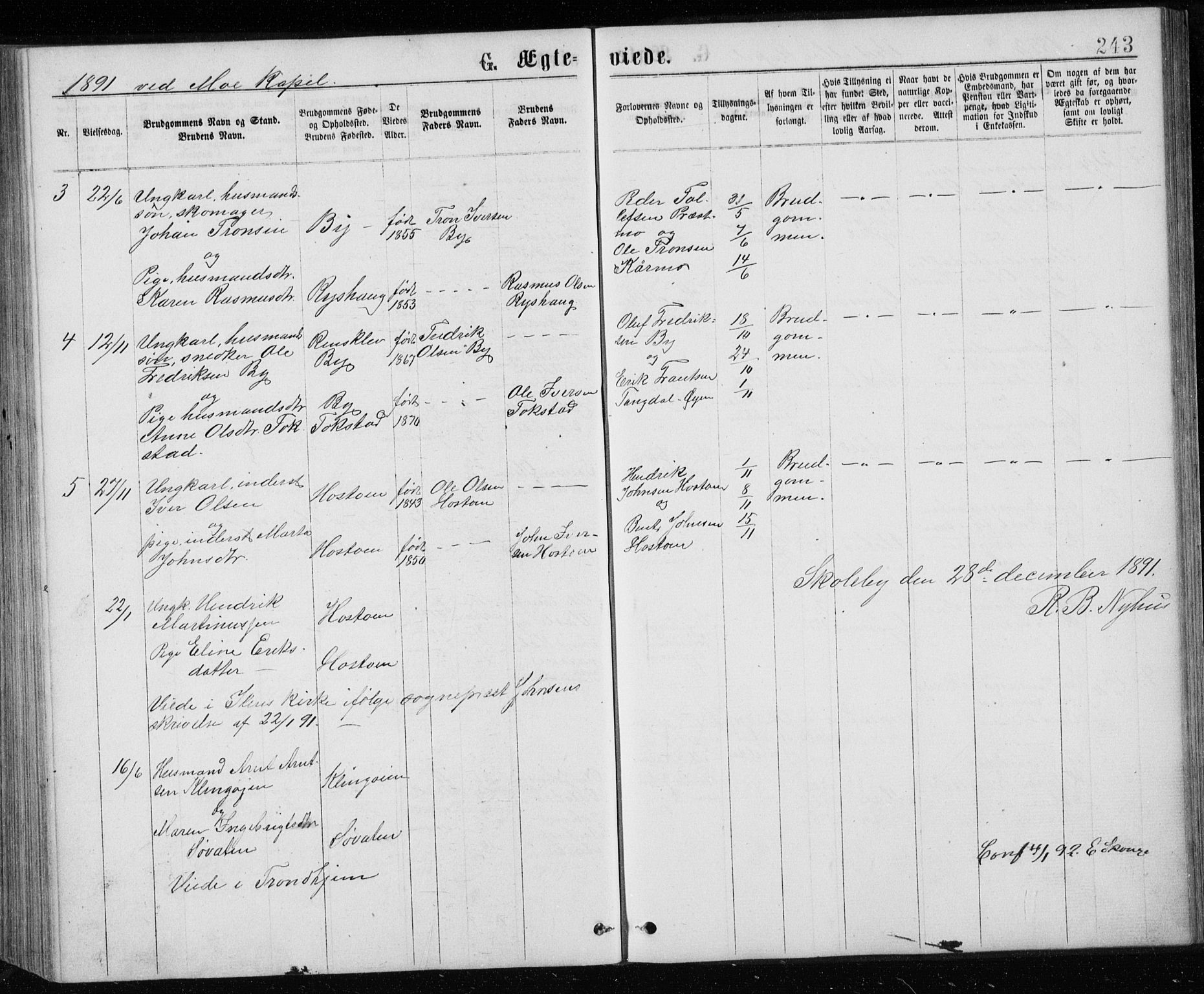 Ministerialprotokoller, klokkerbøker og fødselsregistre - Sør-Trøndelag, SAT/A-1456/671/L0843: Parish register (copy) no. 671C02, 1873-1892, p. 243