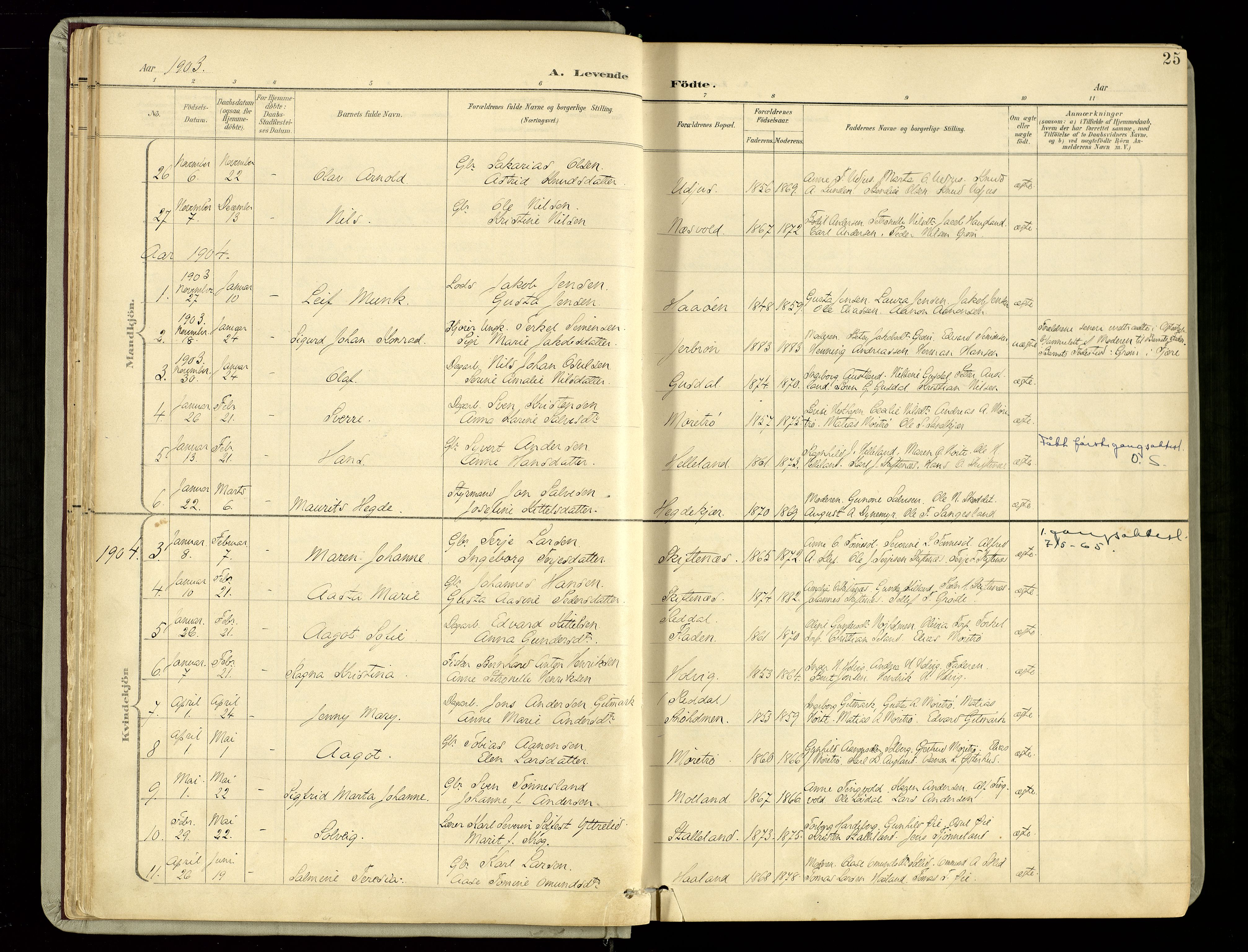 Hommedal sokneprestkontor, SAK/1111-0023/F/Fa/Fab/L0007: Parish register (official) no. A 7, 1898-1924, p. 25