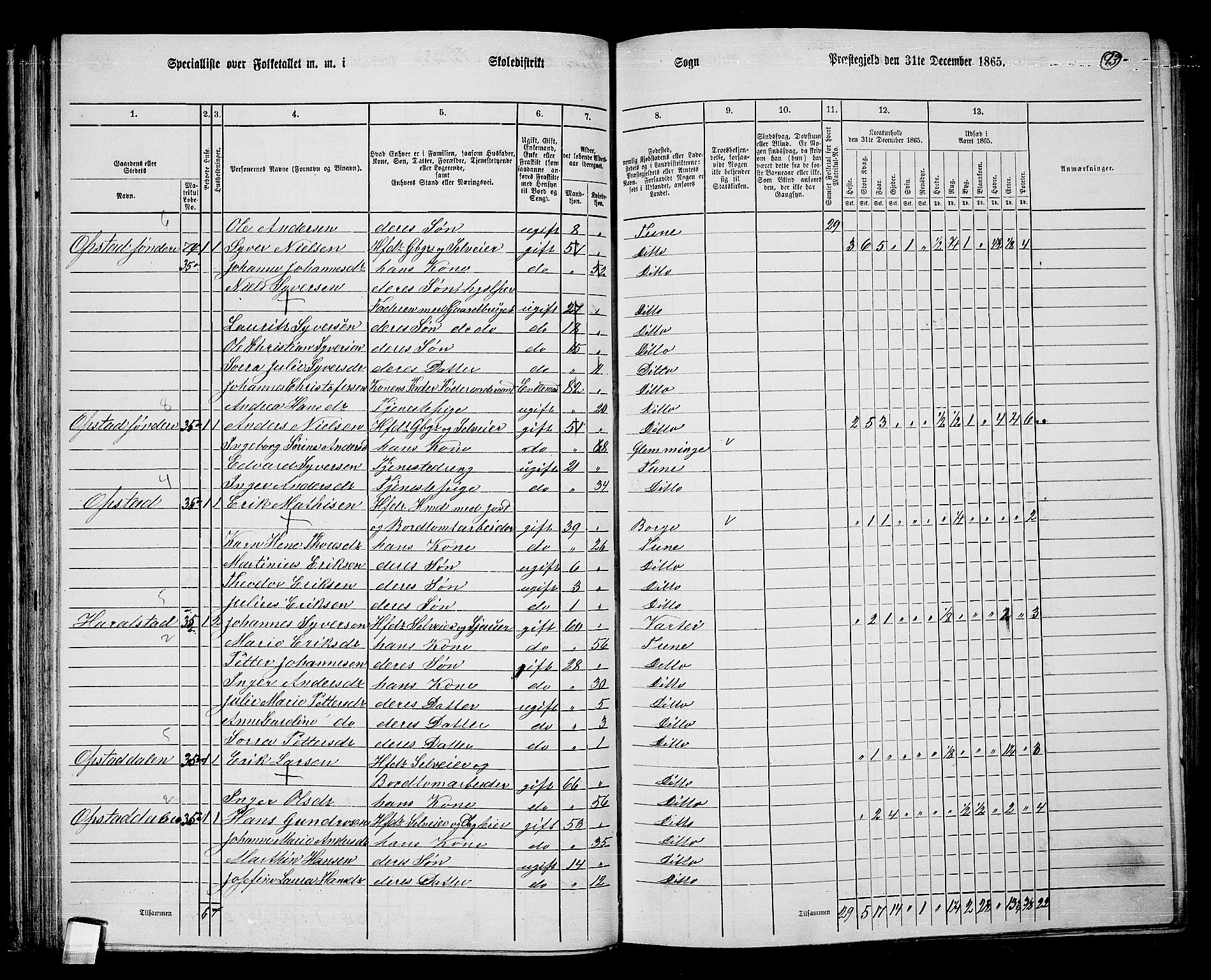 RA, 1865 census for Tune, 1865, p. 86