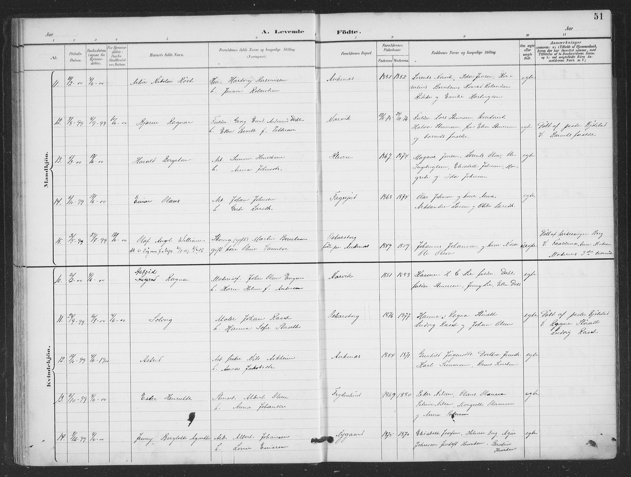 Ministerialprotokoller, klokkerbøker og fødselsregistre - Nordland, AV/SAT-A-1459/866/L0939: Parish register (official) no. 866A02, 1894-1906, p. 51