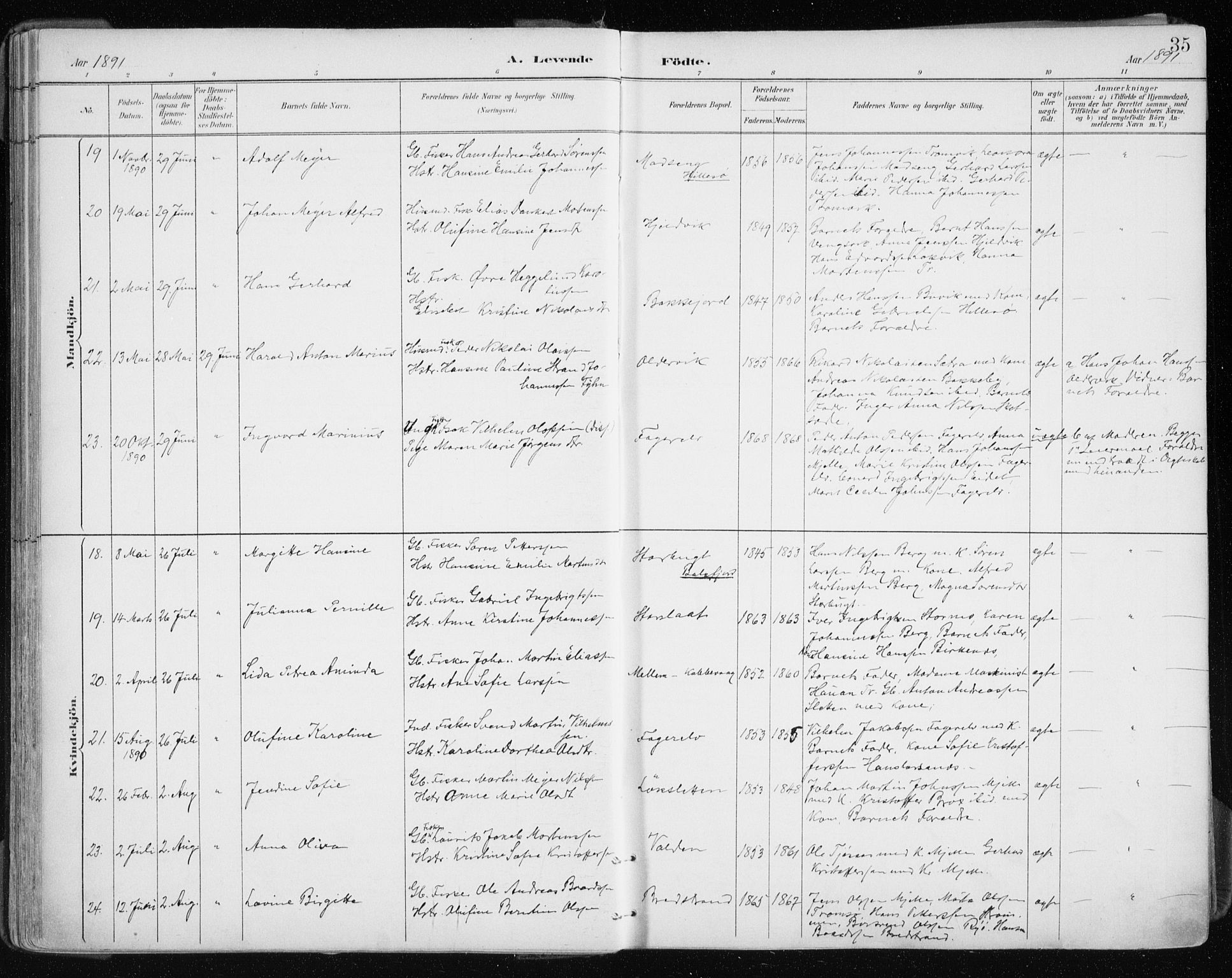 Tromsøysund sokneprestkontor, SATØ/S-1304/G/Ga/L0005kirke: Parish register (official) no. 5, 1888-1896, p. 35