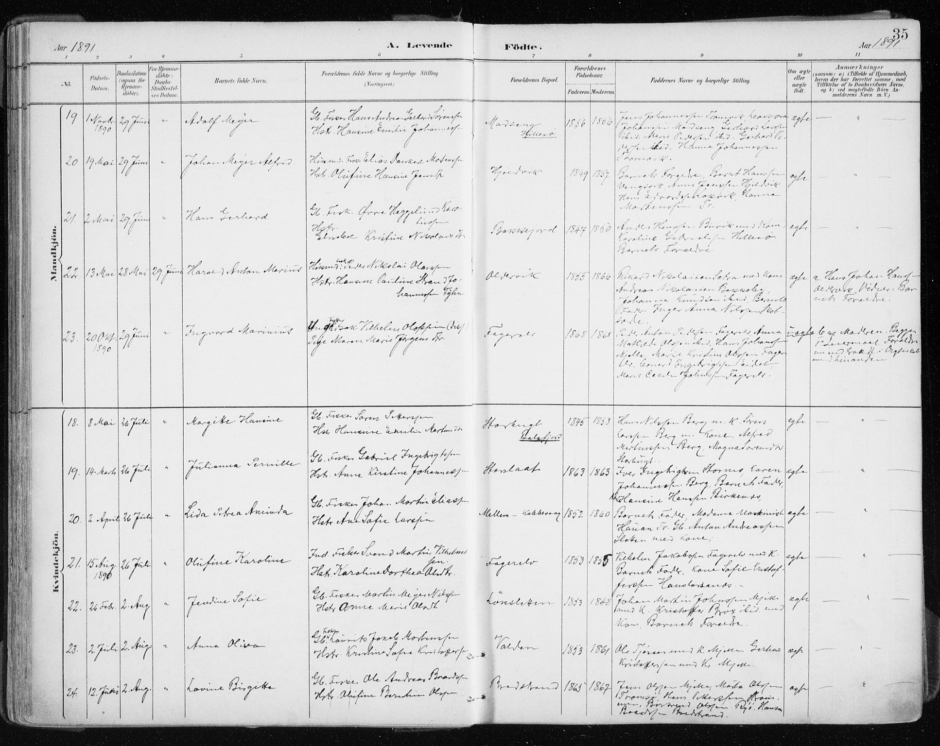 Tromsøysund sokneprestkontor, AV/SATØ-S-1304/G/Ga/L0005kirke: Parish register (official) no. 5, 1888-1896, p. 35