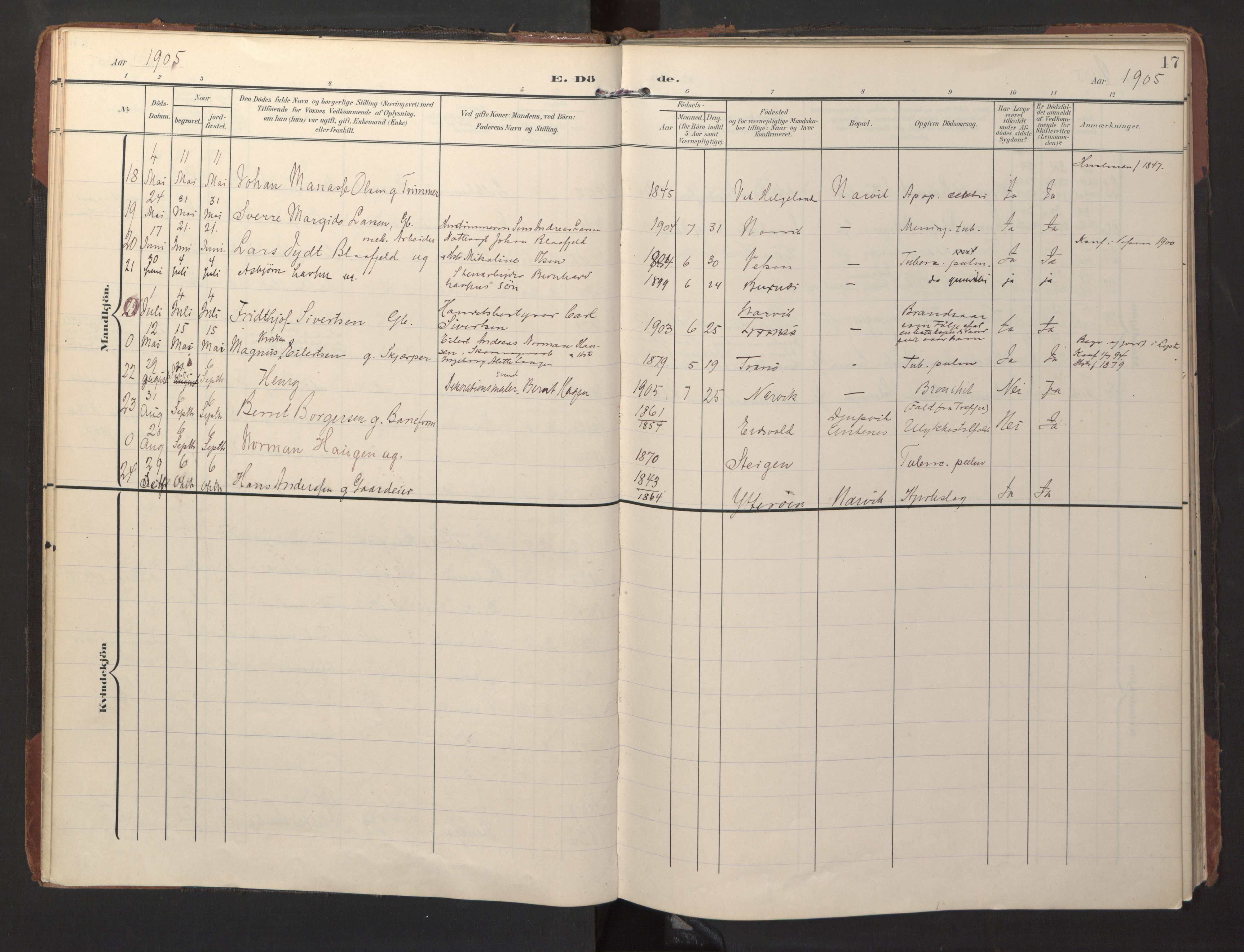 Ministerialprotokoller, klokkerbøker og fødselsregistre - Nordland, AV/SAT-A-1459/871/L1000: Parish register (official) no. 871A16, 1902-1925, p. 17