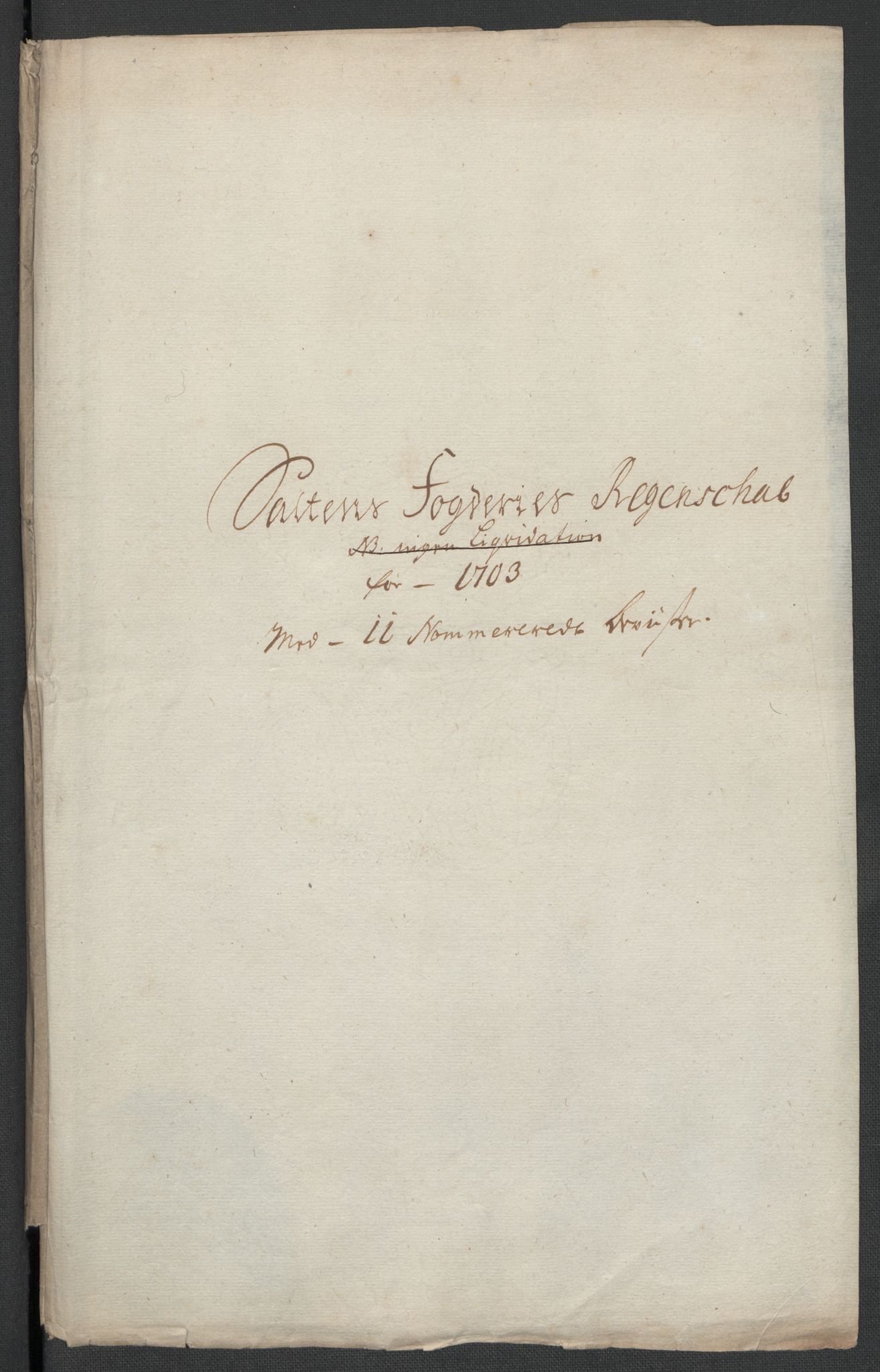 Rentekammeret inntil 1814, Reviderte regnskaper, Fogderegnskap, AV/RA-EA-4092/R66/L4580: Fogderegnskap Salten, 1701-1706, p. 155