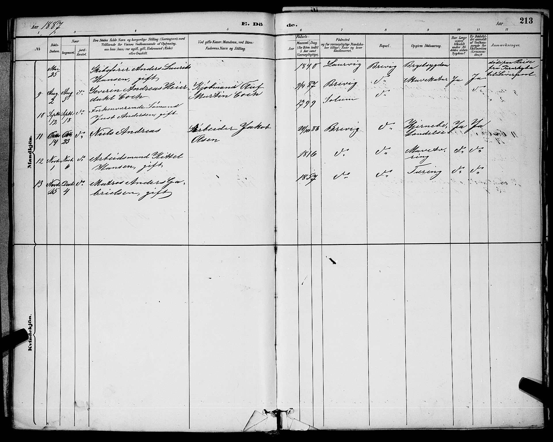 Brevik kirkebøker, SAKO/A-255/G/Ga/L0004: Parish register (copy) no. 4, 1882-1900, p. 213