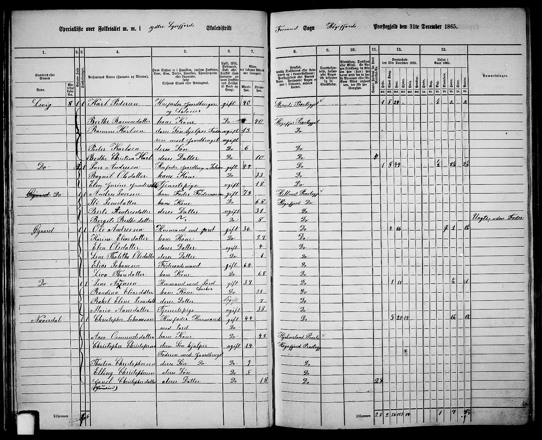 RA, 1865 census for Høgsfjord, 1865, p. 19