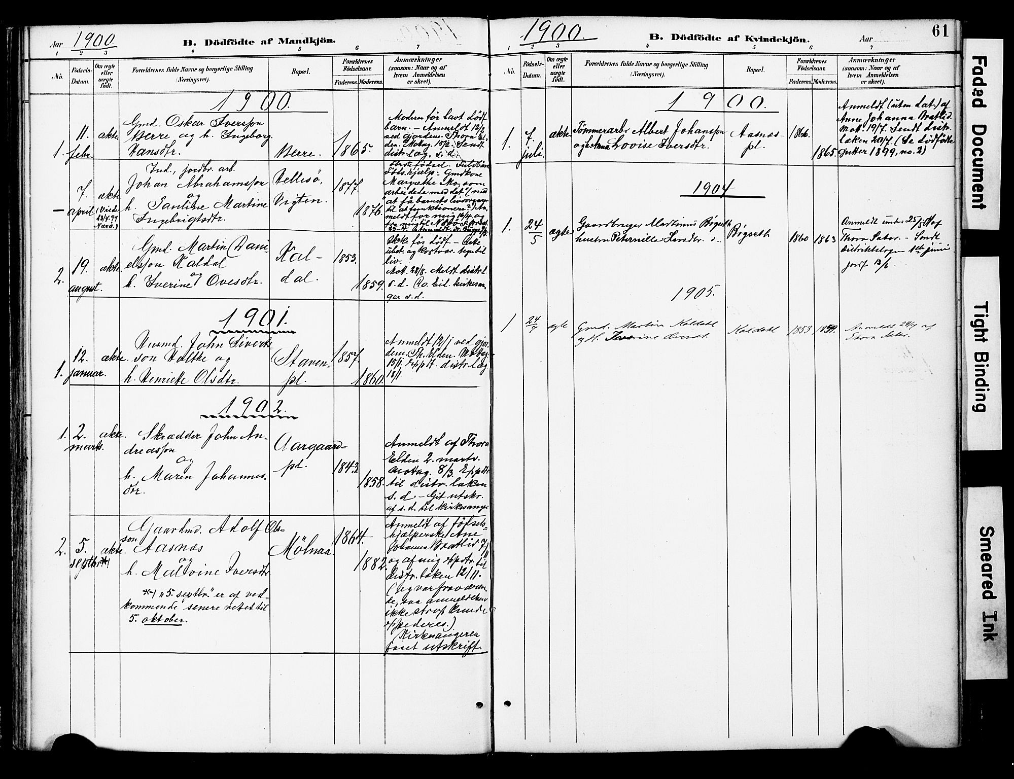 Ministerialprotokoller, klokkerbøker og fødselsregistre - Nord-Trøndelag, SAT/A-1458/742/L0409: Parish register (official) no. 742A02, 1891-1905, p. 61