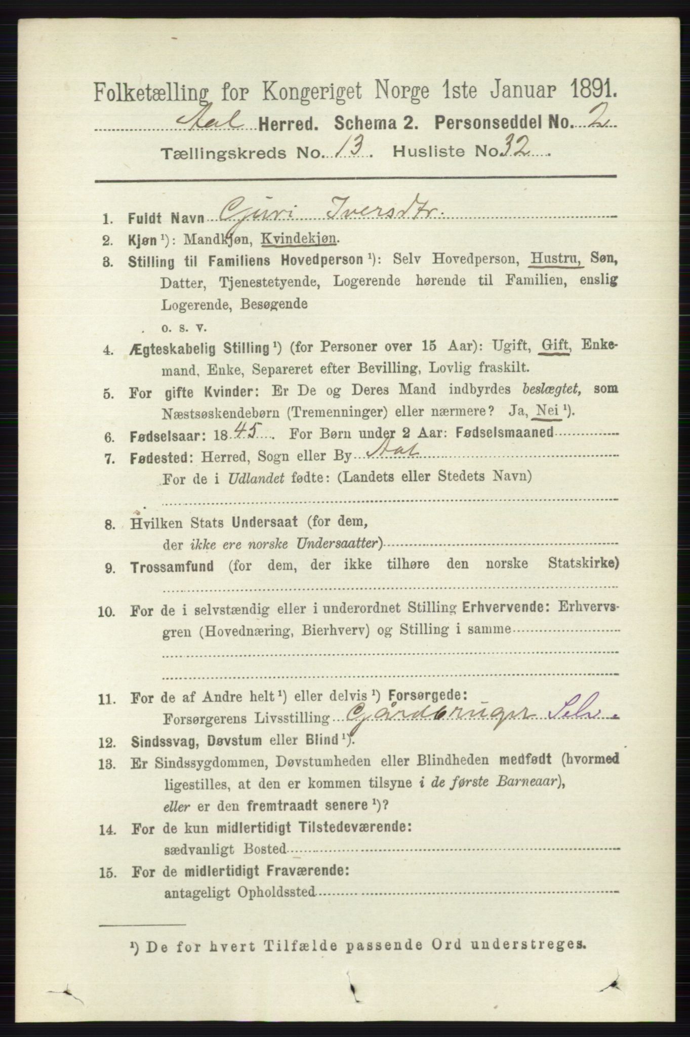 RA, 1891 census for 0619 Ål, 1891, p. 3429