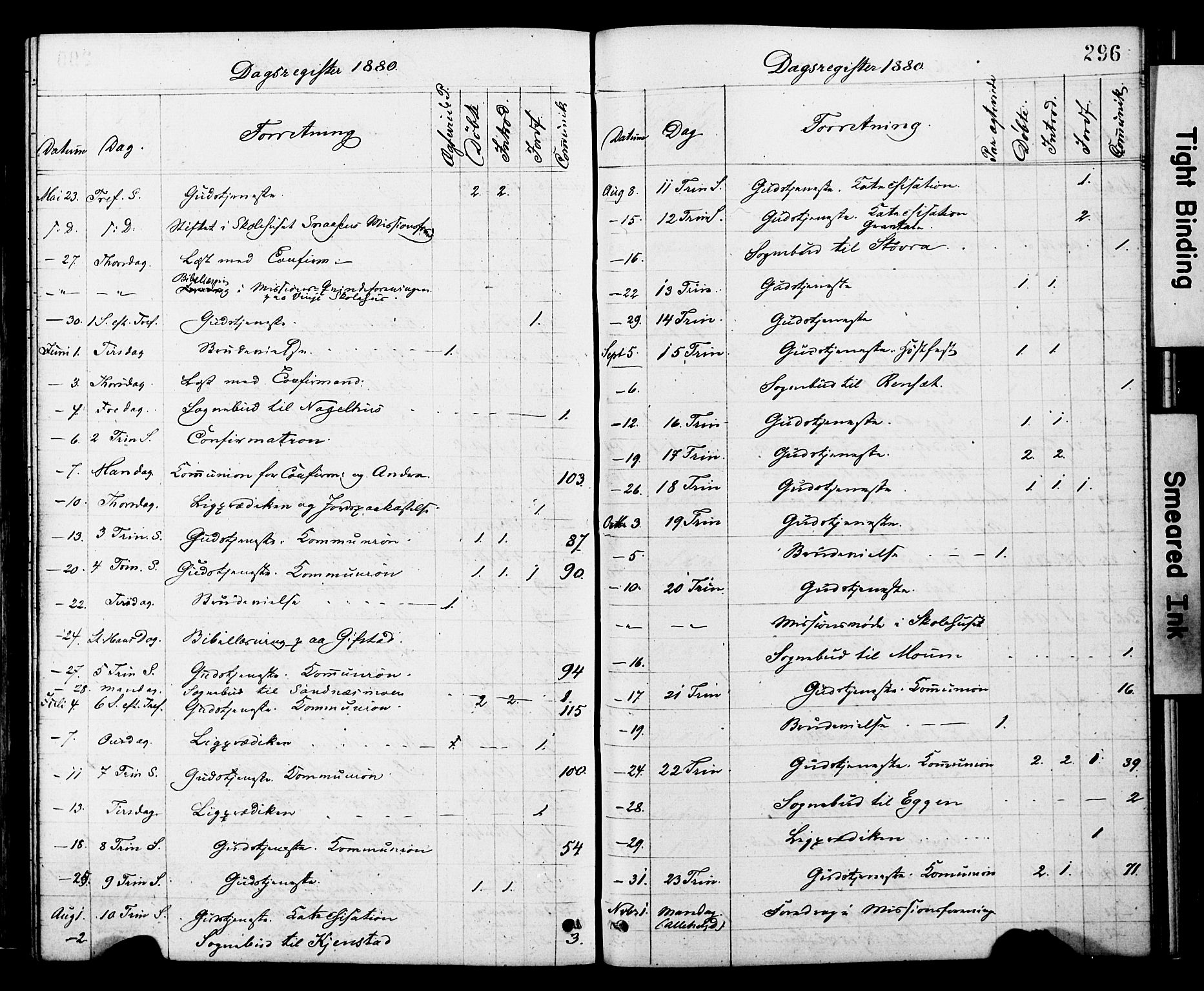 Ministerialprotokoller, klokkerbøker og fødselsregistre - Nord-Trøndelag, AV/SAT-A-1458/749/L0473: Parish register (official) no. 749A07, 1873-1887, p. 296