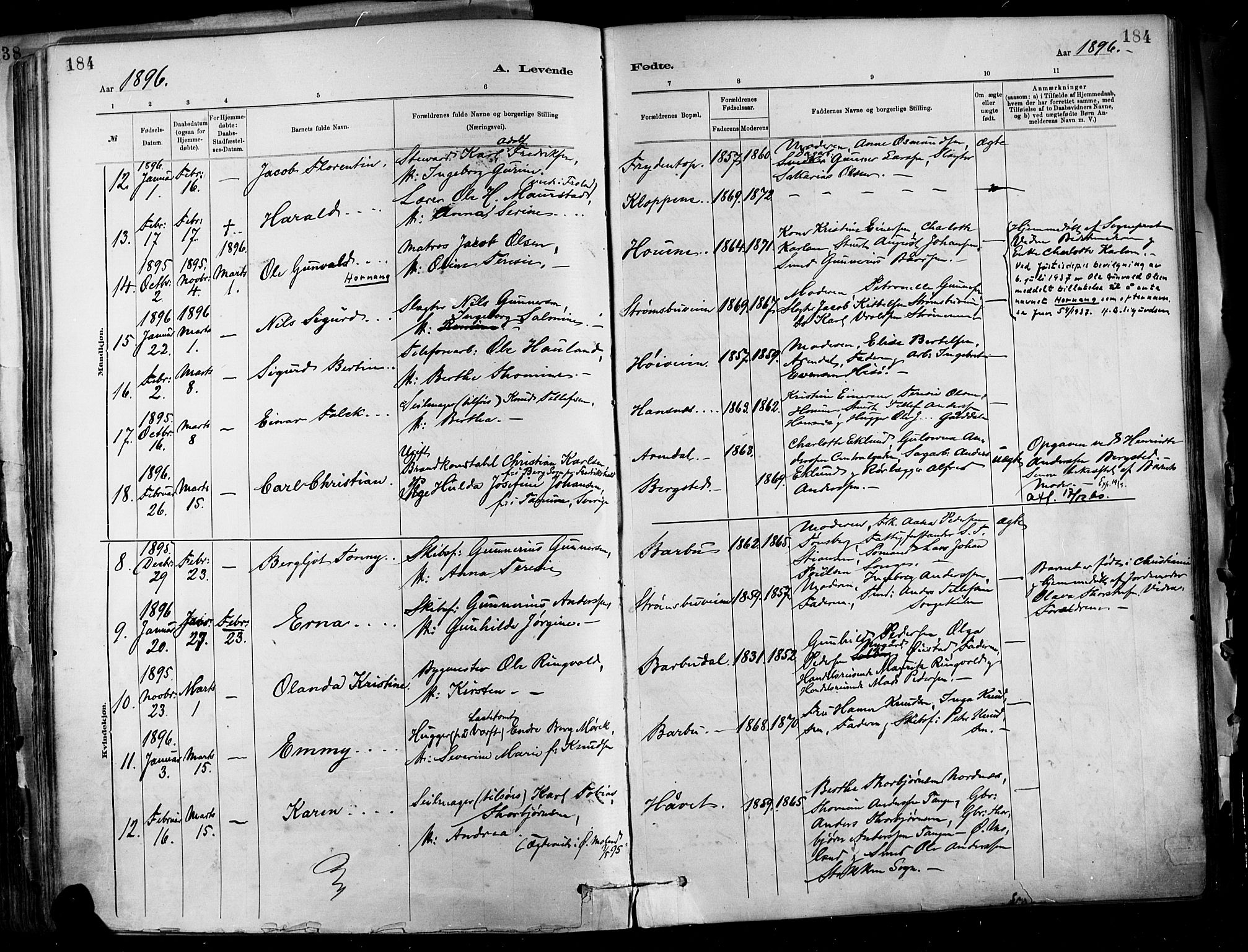 Barbu sokneprestkontor, AV/SAK-1111-0003/F/Fa/L0002: Parish register (official) no. A 2, 1883-1898, p. 184