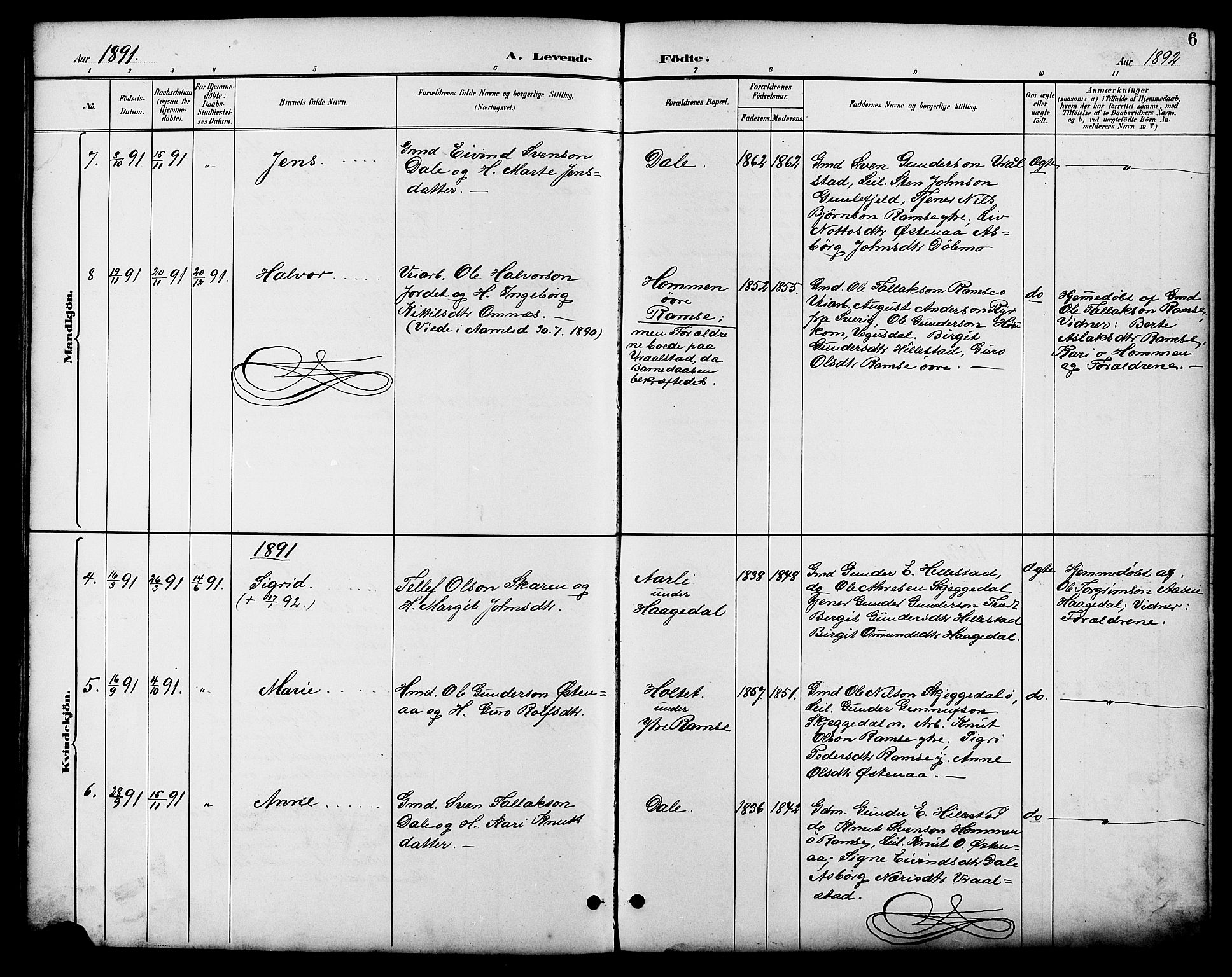 Åmli sokneprestkontor, SAK/1111-0050/F/Fb/Fbb/L0002: Parish register (copy) no. B 2, 1890-1905, p. 6