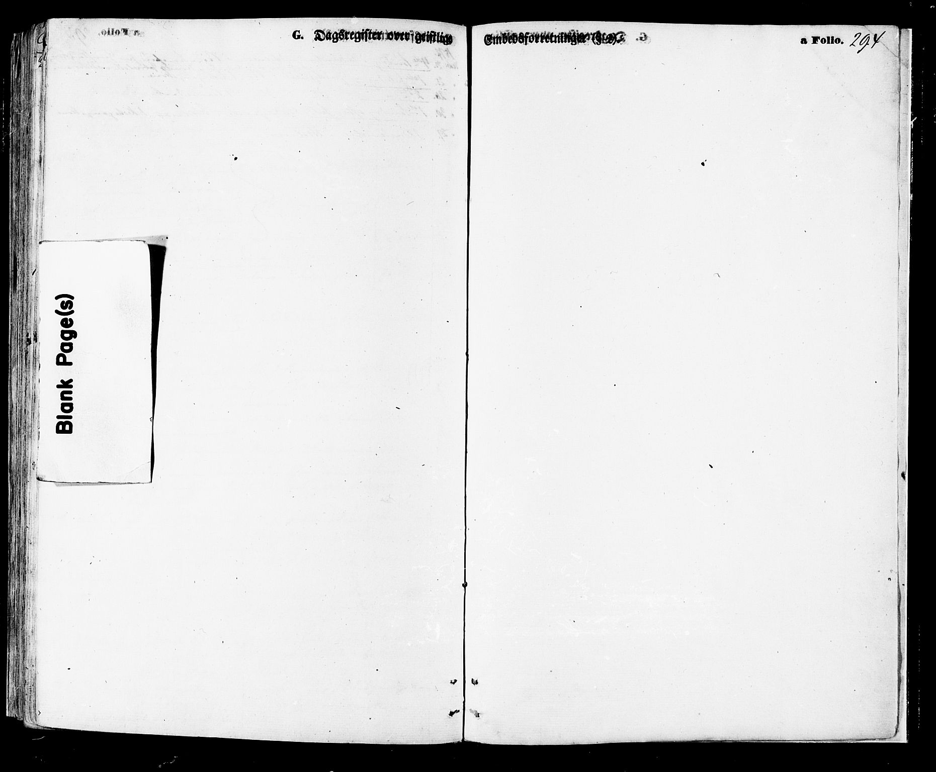 Ministerialprotokoller, klokkerbøker og fødselsregistre - Nordland, AV/SAT-A-1459/891/L1301: Parish register (official) no. 891A06, 1870-1878, p. 294