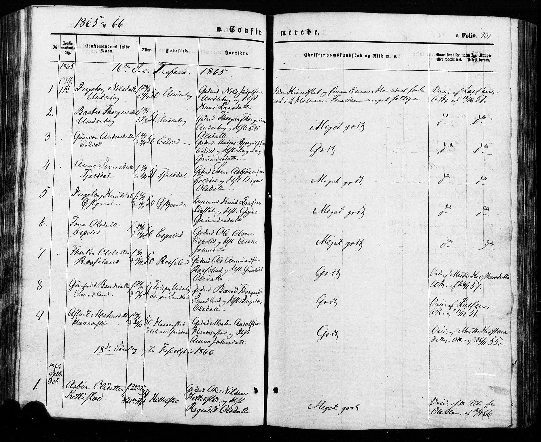 Åseral sokneprestkontor, SAK/1111-0051/F/Fa/L0002: Parish register (official) no. A 2, 1854-1884, p. 301