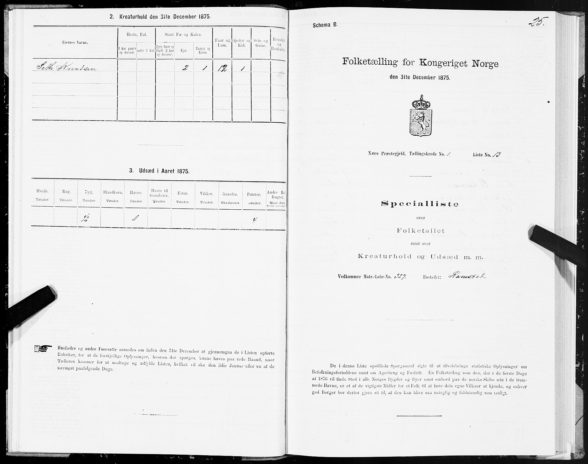 SAT, 1875 census for 1751P Nærøy, 1875, p. 1025