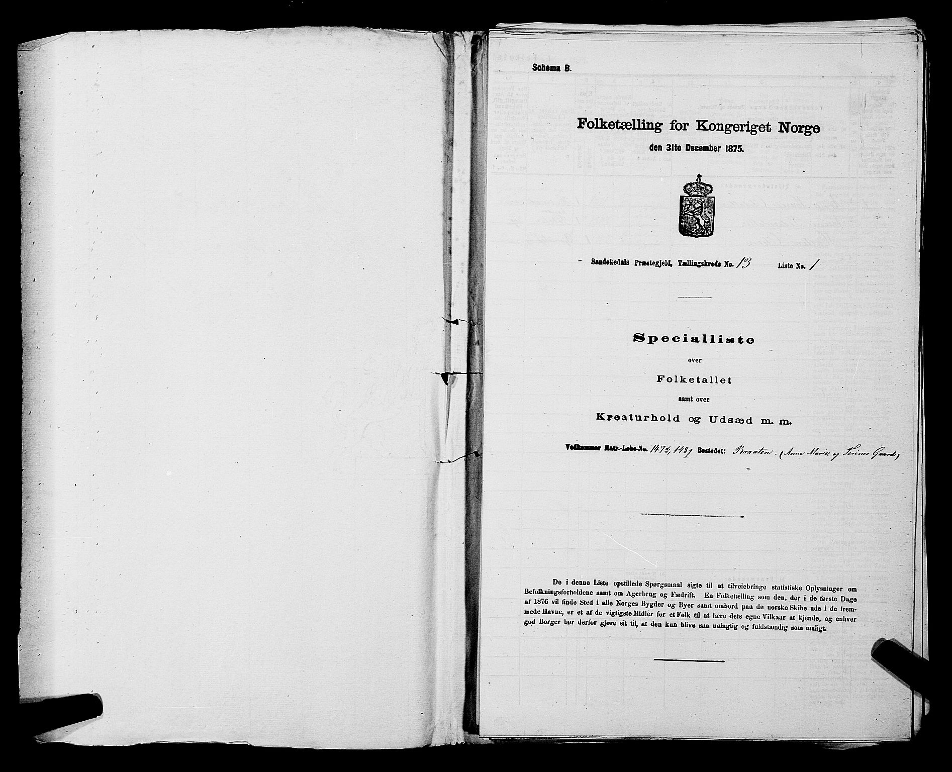 SAKO, 1875 census for 0816P Sannidal, 1875, p. 864