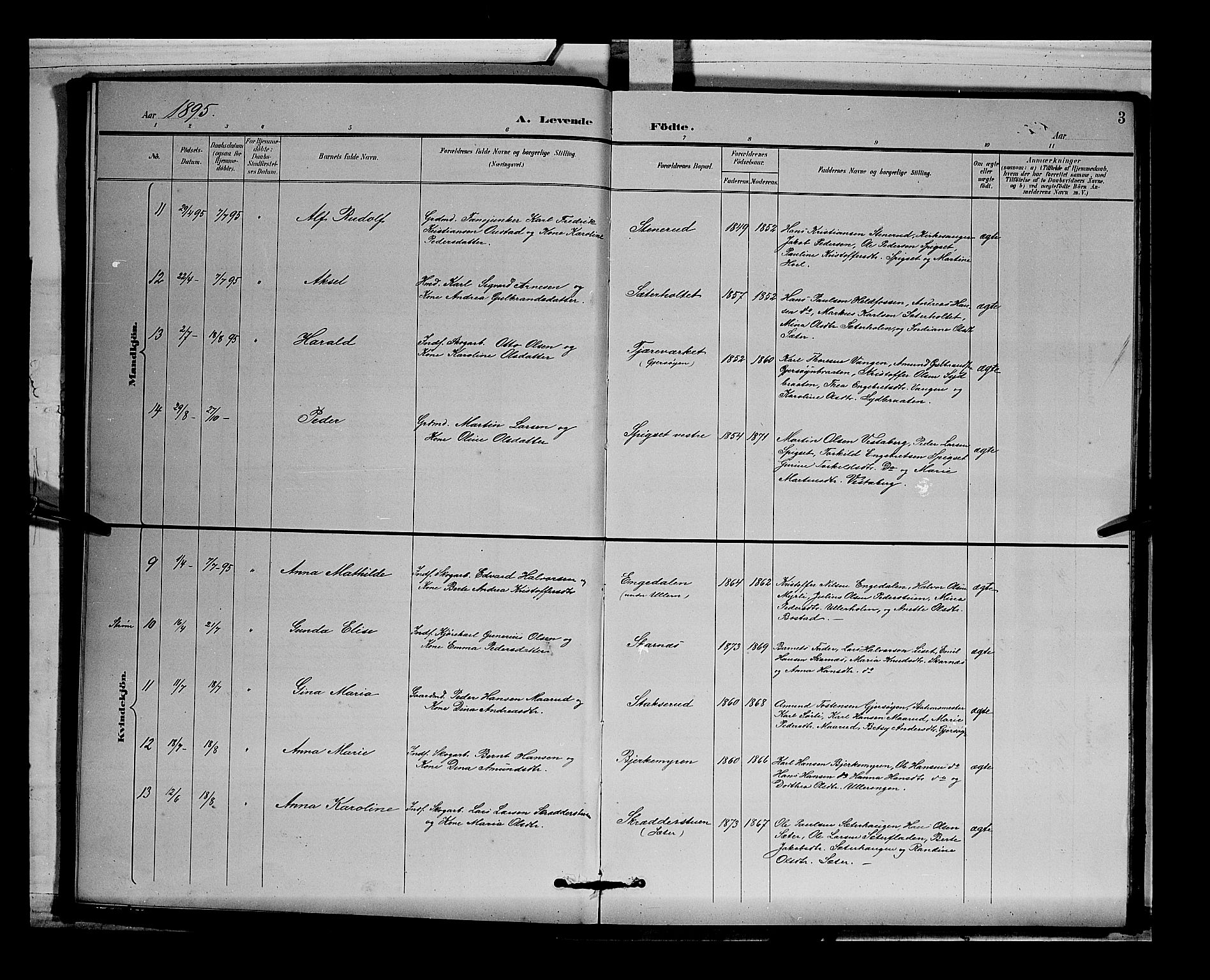 Sør-Odal prestekontor, AV/SAH-PREST-030/H/Ha/Hab/L0004: Parish register (copy) no. 4, 1895-1906, p. 3