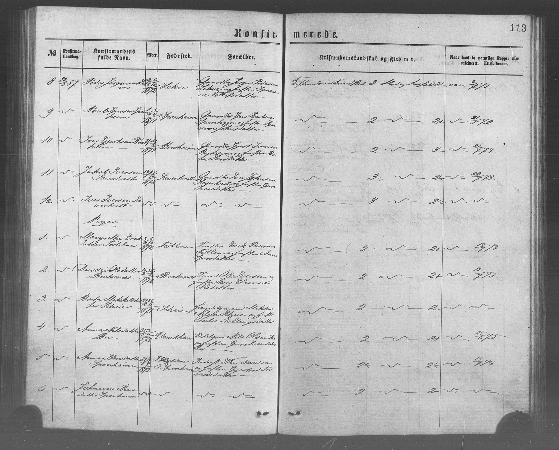 Ulvik sokneprestembete, SAB/A-78801/H/Haa: Parish register (official) no. A 17, 1873-1891, p. 113