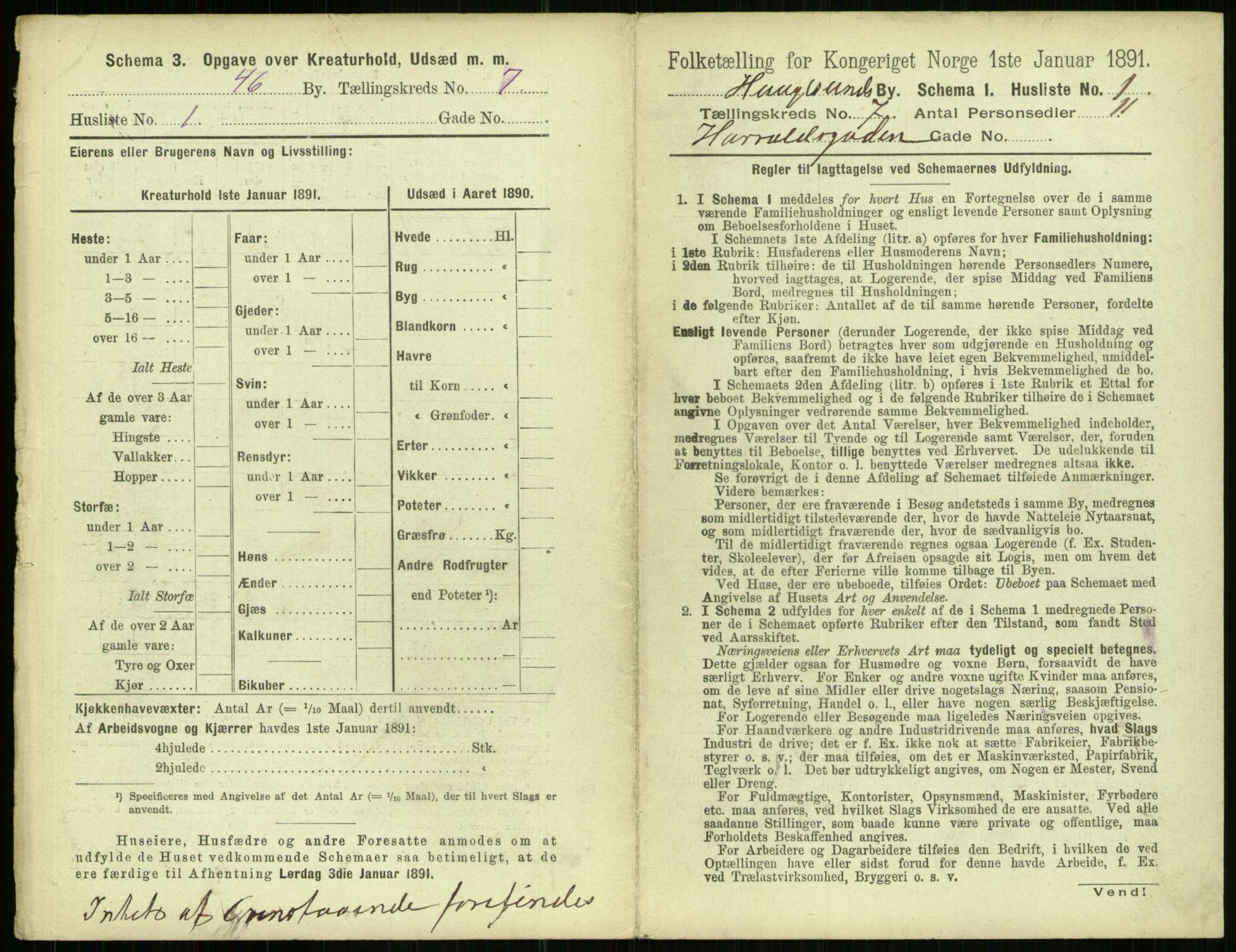 RA, 1891 census for 1106 Haugesund, 1891, p. 471