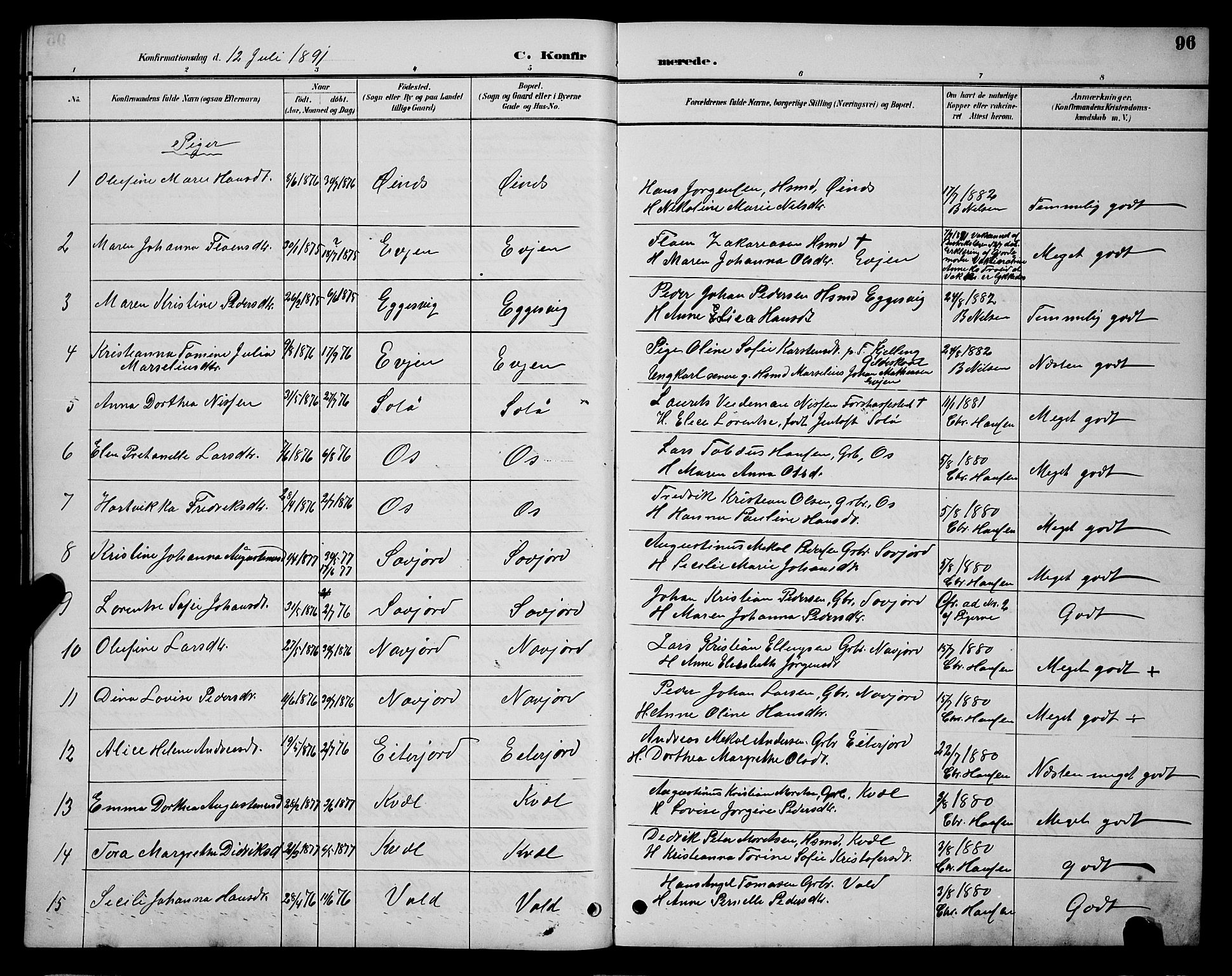 Ministerialprotokoller, klokkerbøker og fødselsregistre - Nordland, AV/SAT-A-1459/846/L0654: Parish register (copy) no. 846C04, 1887-1901, p. 96